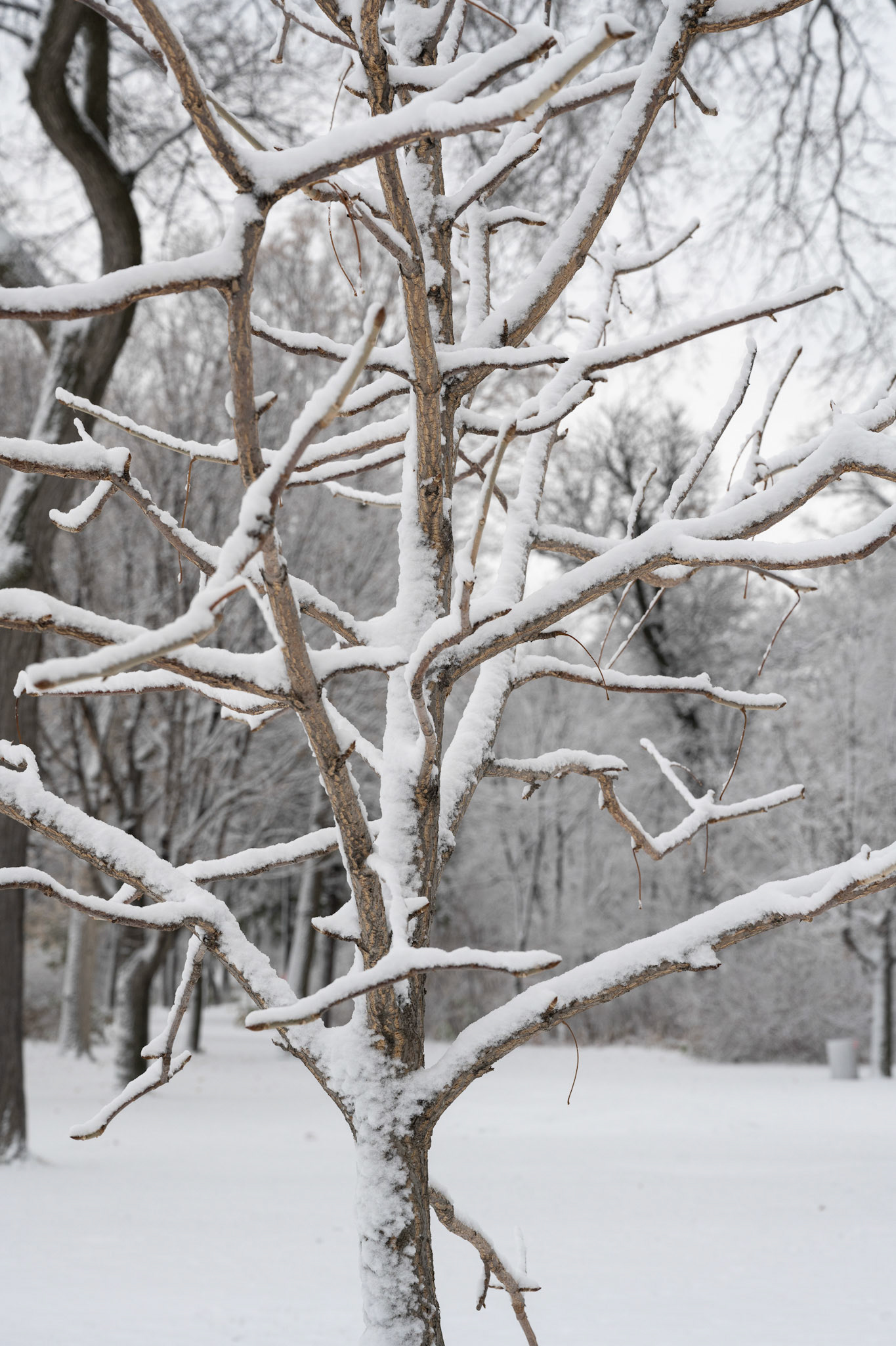 Snow in October