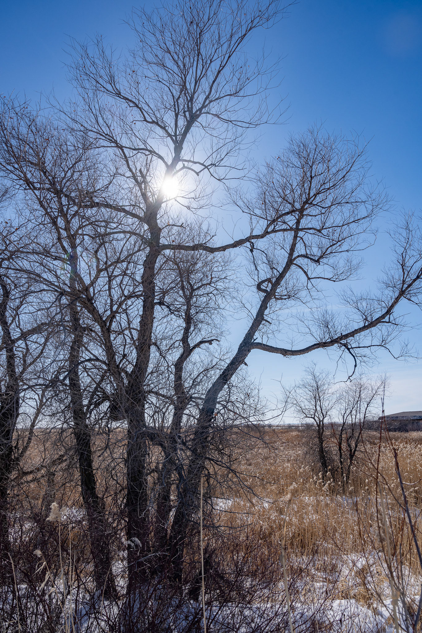 one of North America's birding hotspots in the Rural Municipality of Rockwood