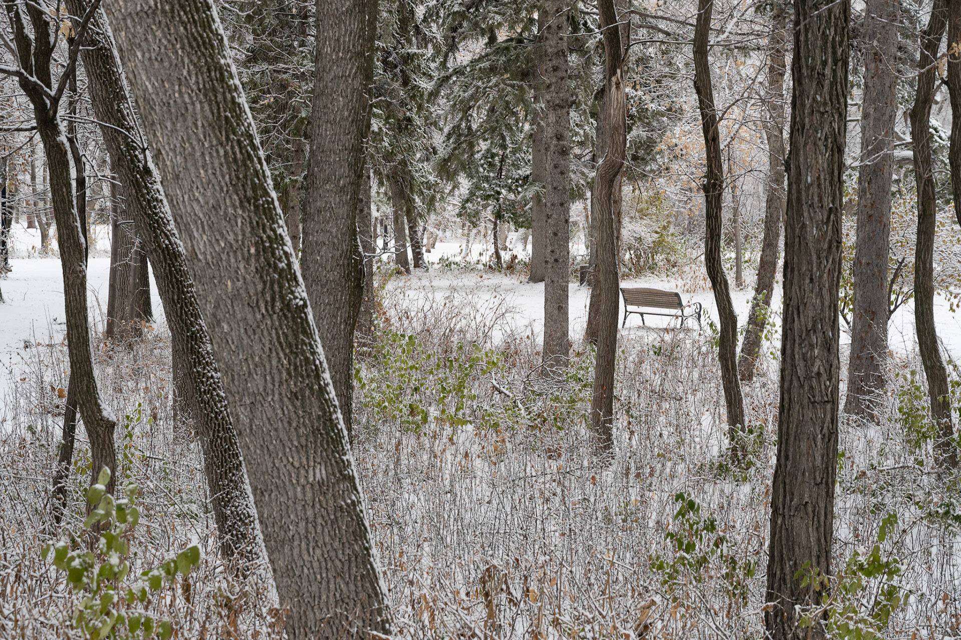 Snow in October