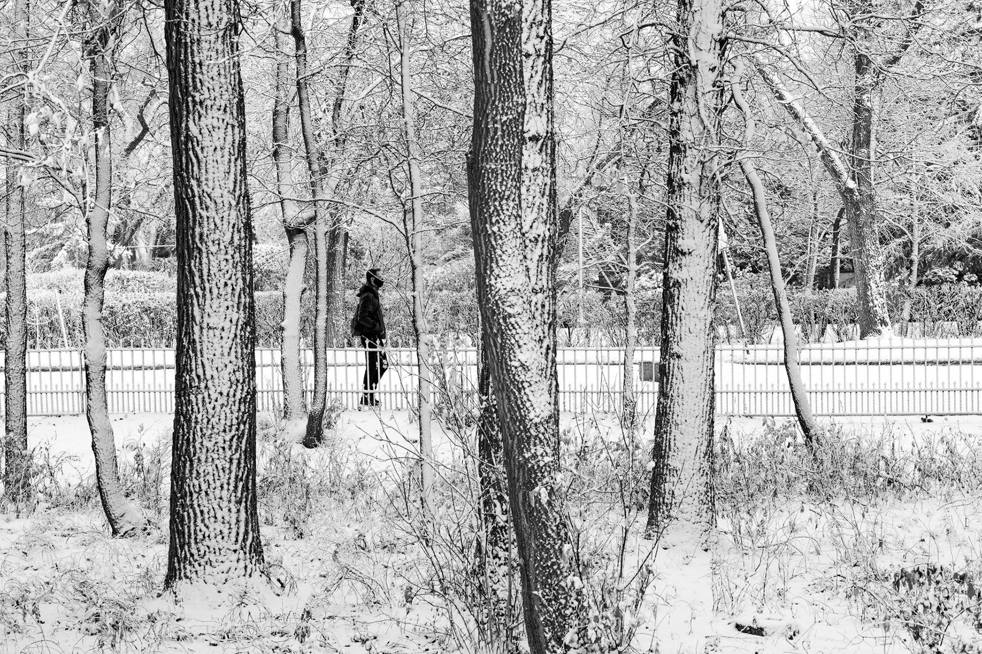 Snow in October