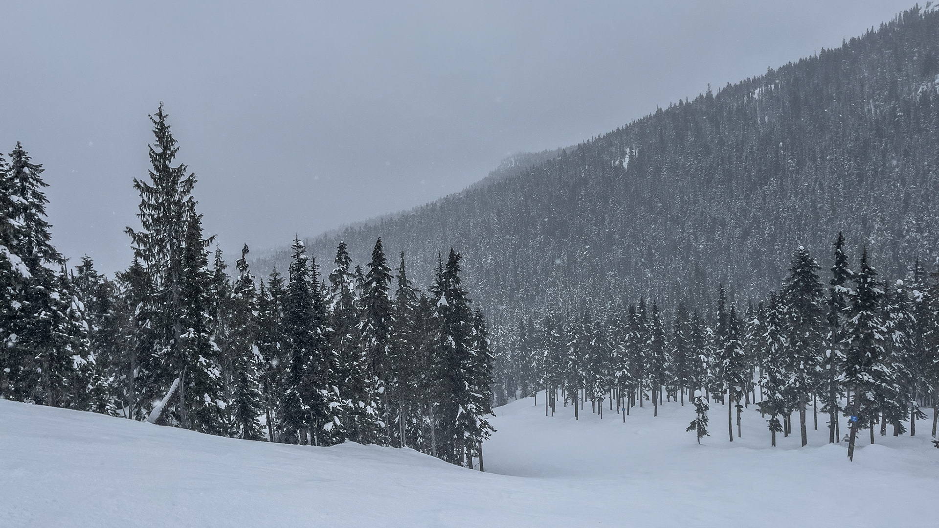 Whistler with the Family