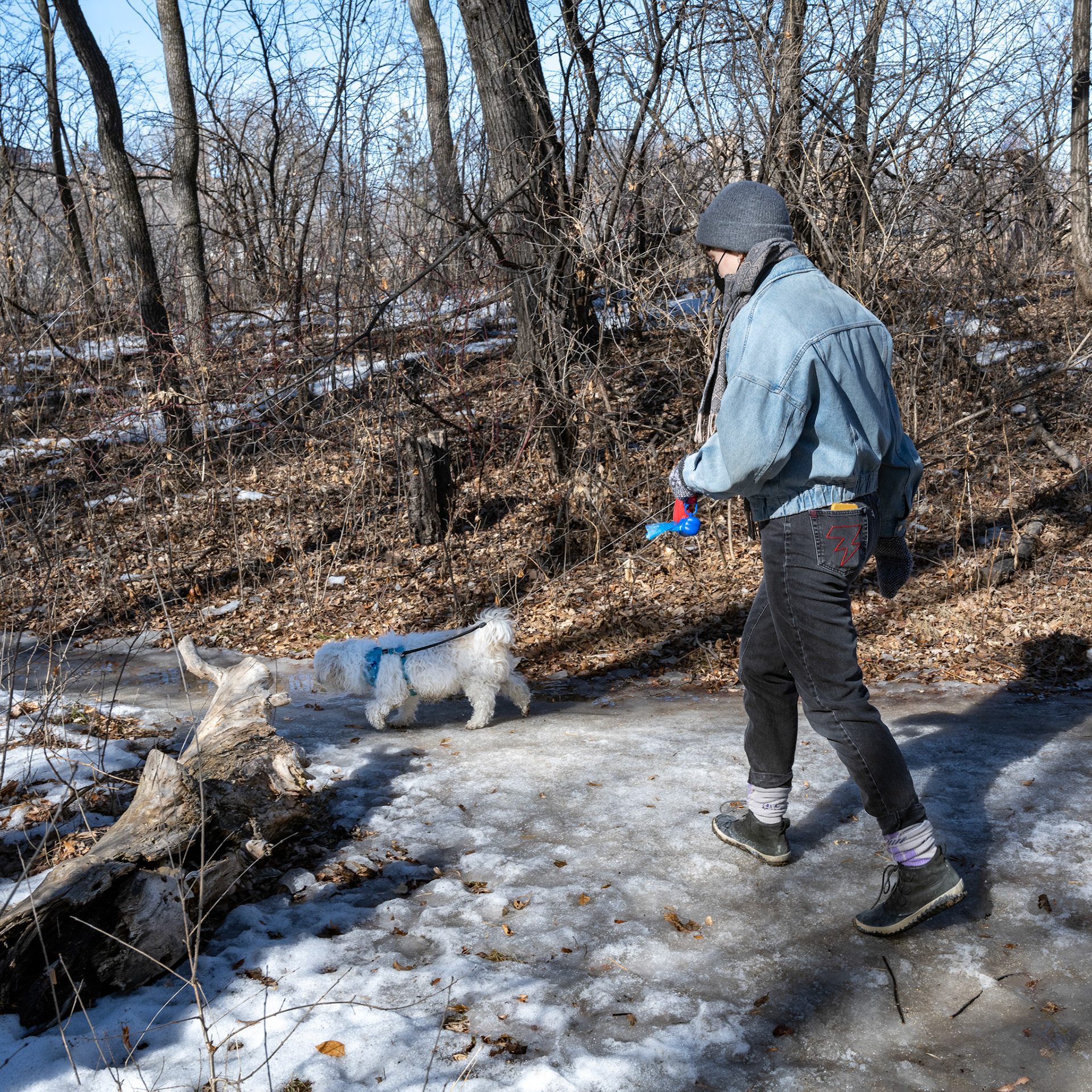 A walk through Assiniboine Park