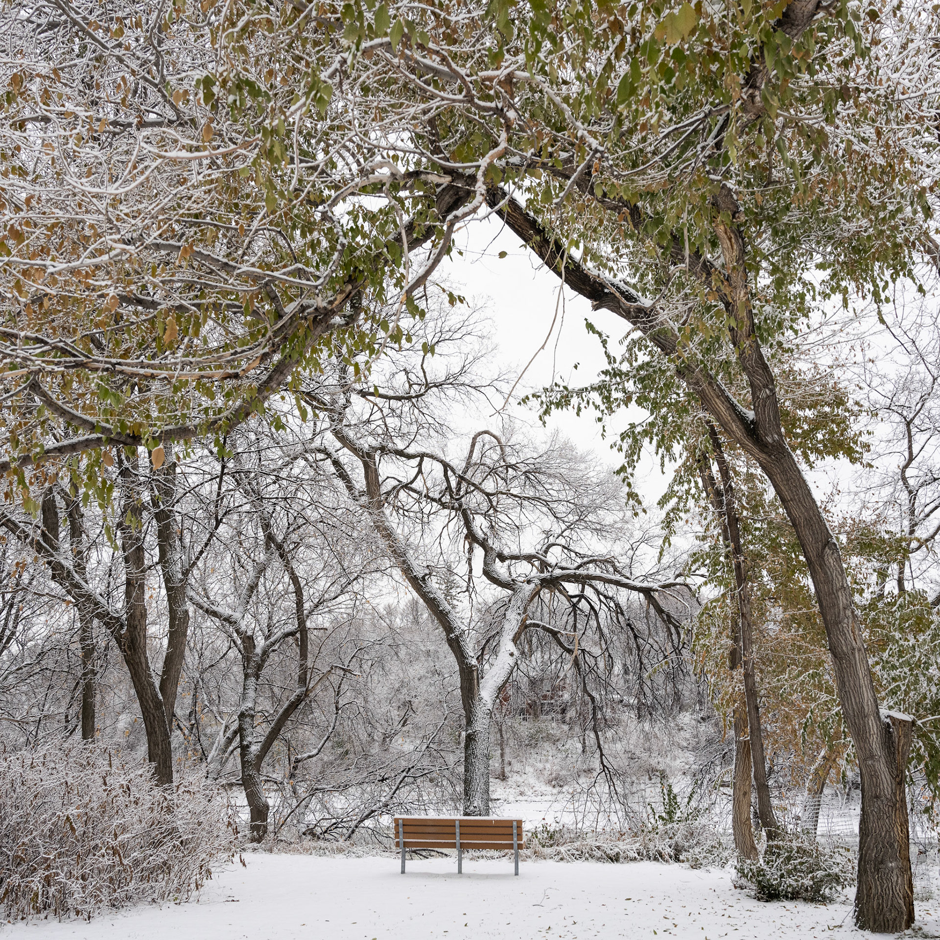 Snow in October