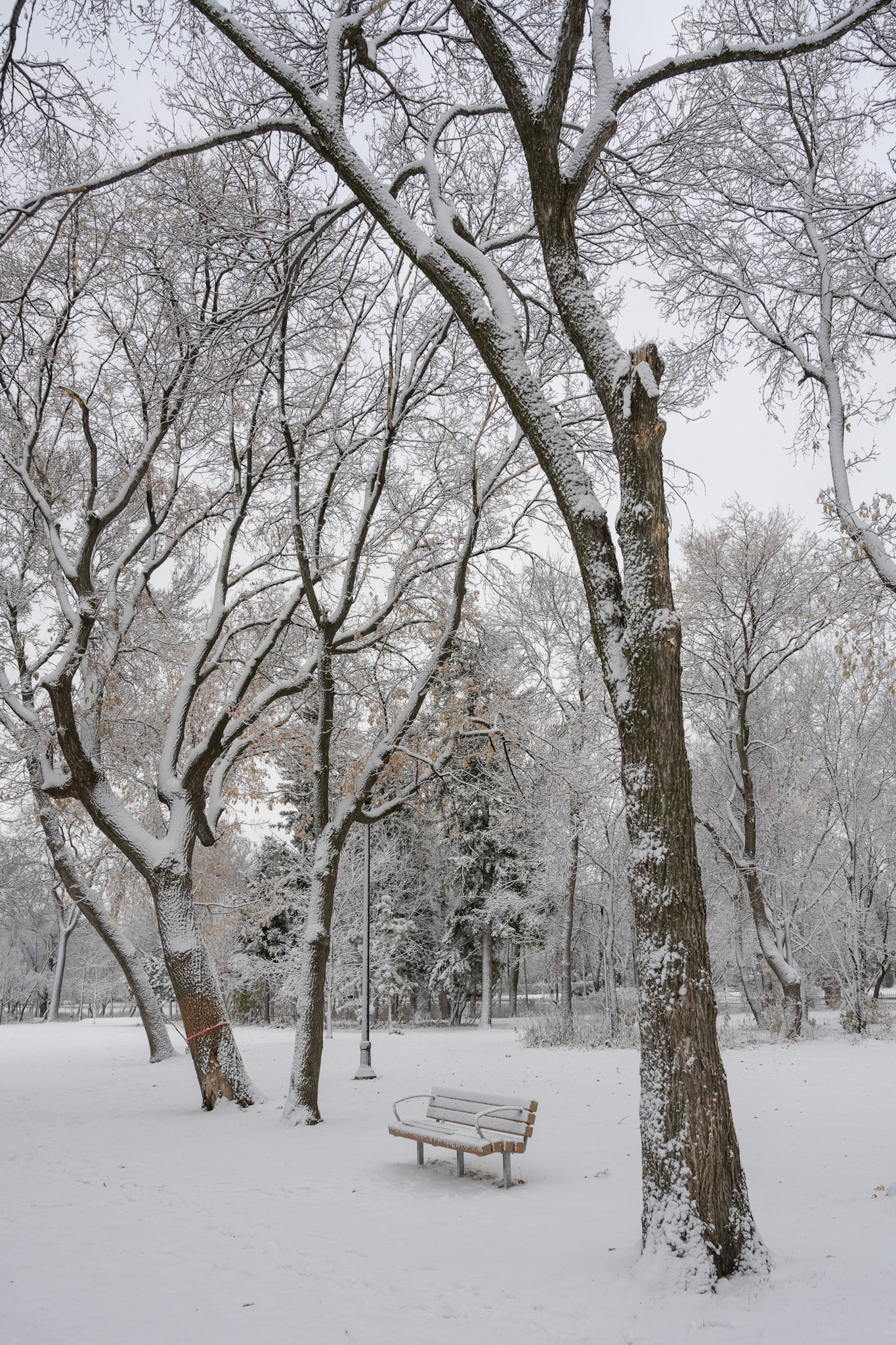 Snow in October