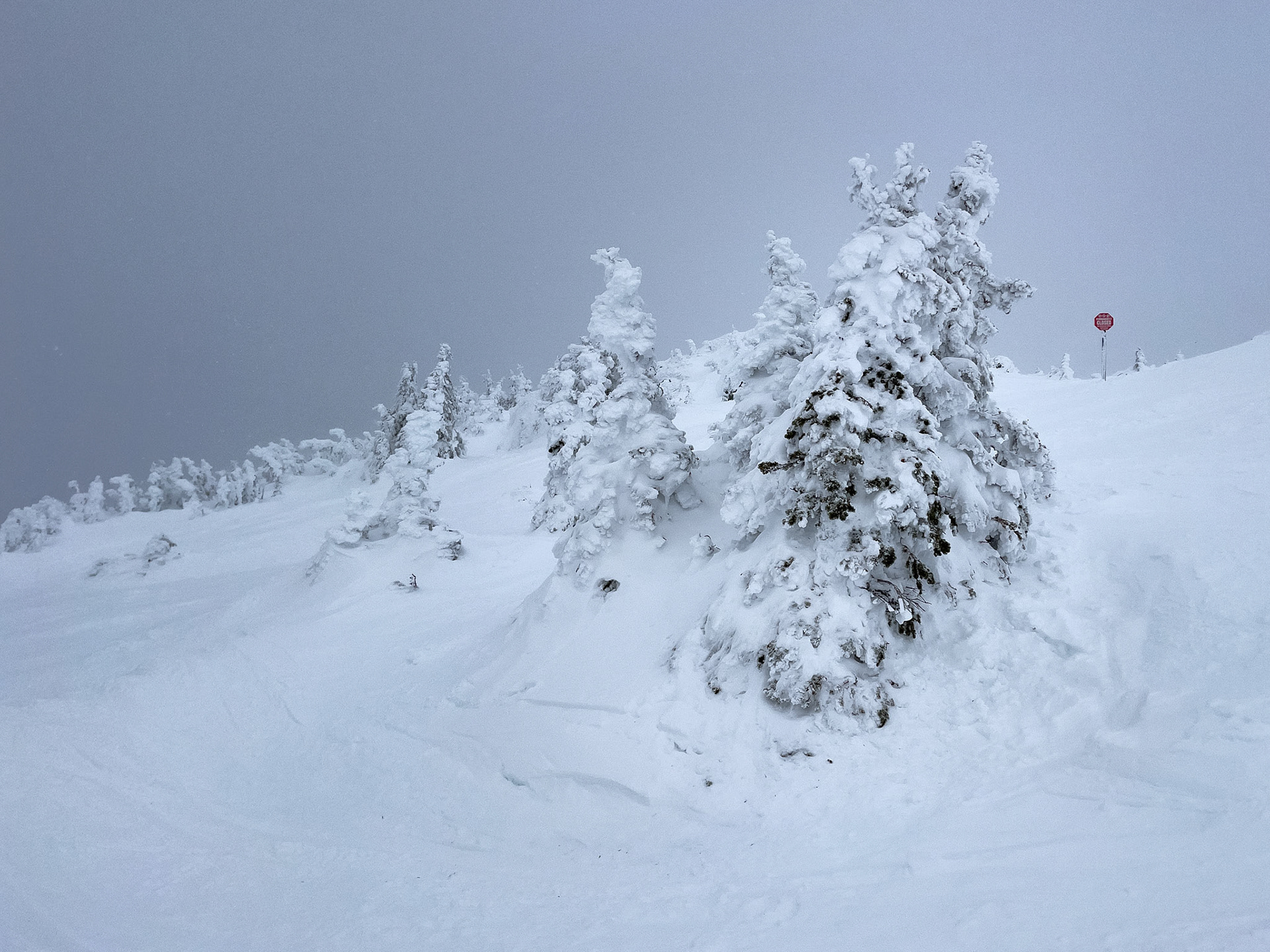Whistler with the Family