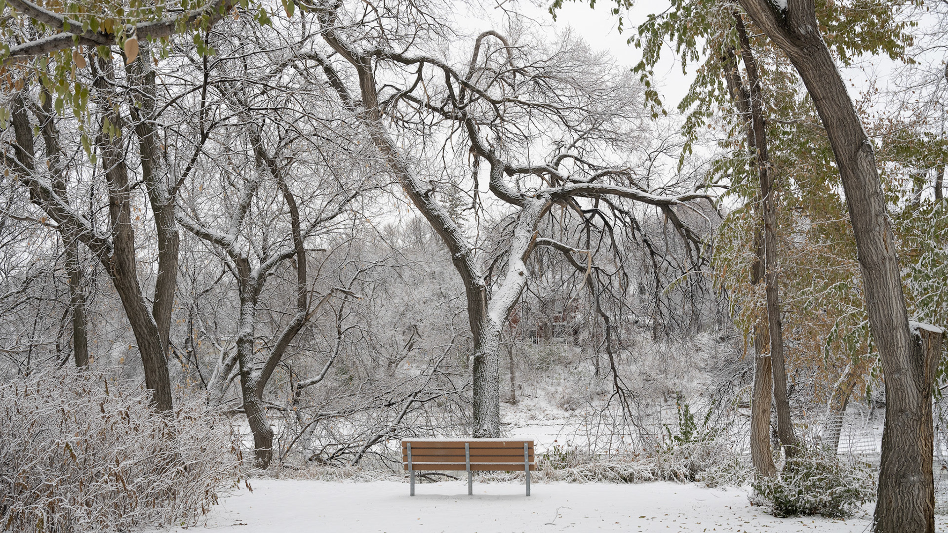 Snow in October