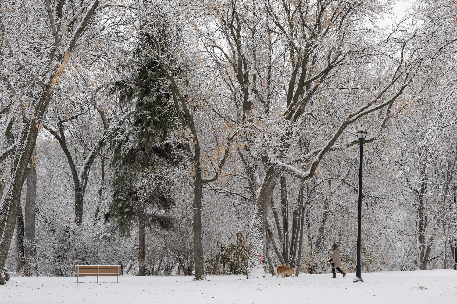 Snow in October