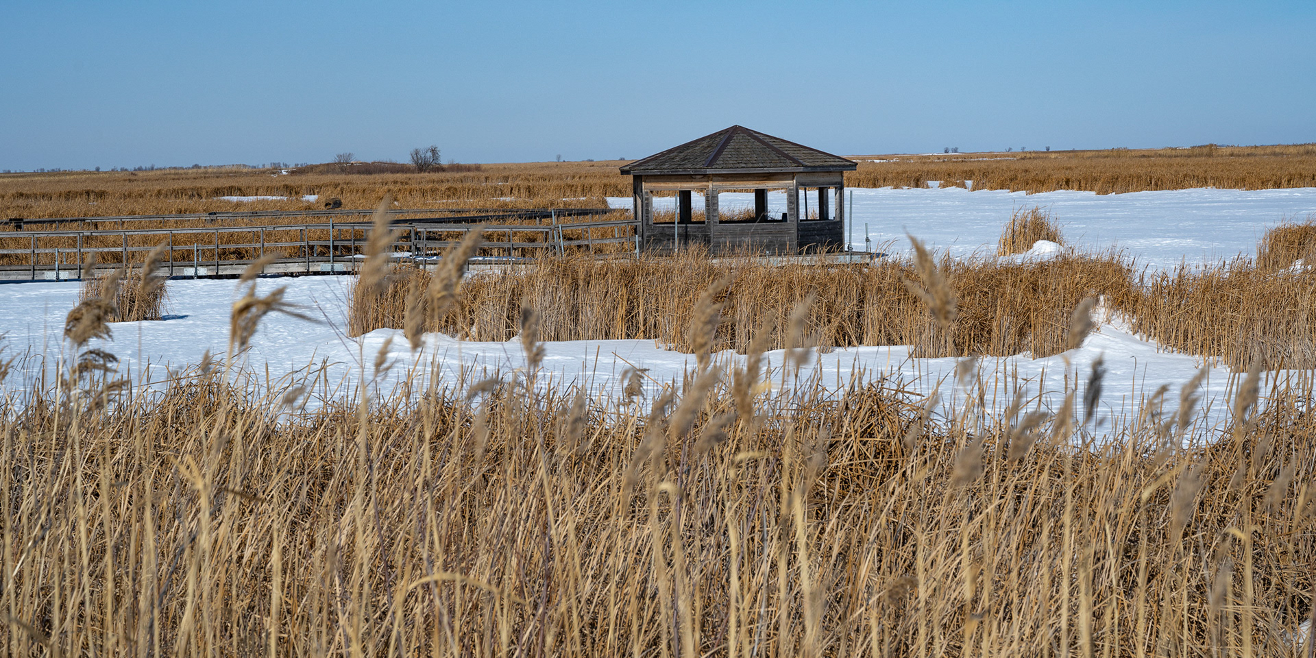 one of North America's birding hotspots in the Rural Municipality of Rockwood