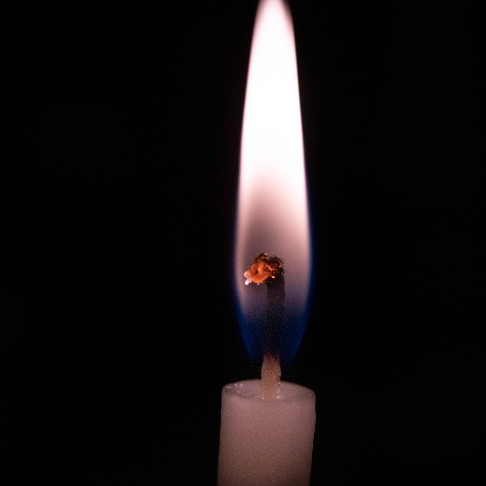 Chanukah - Day 7