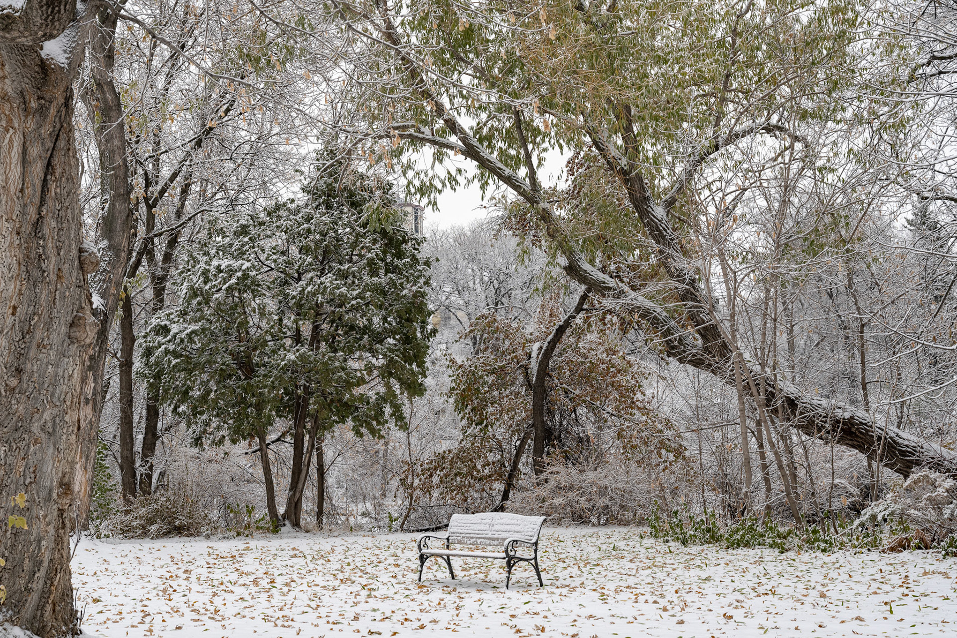 Snow in October