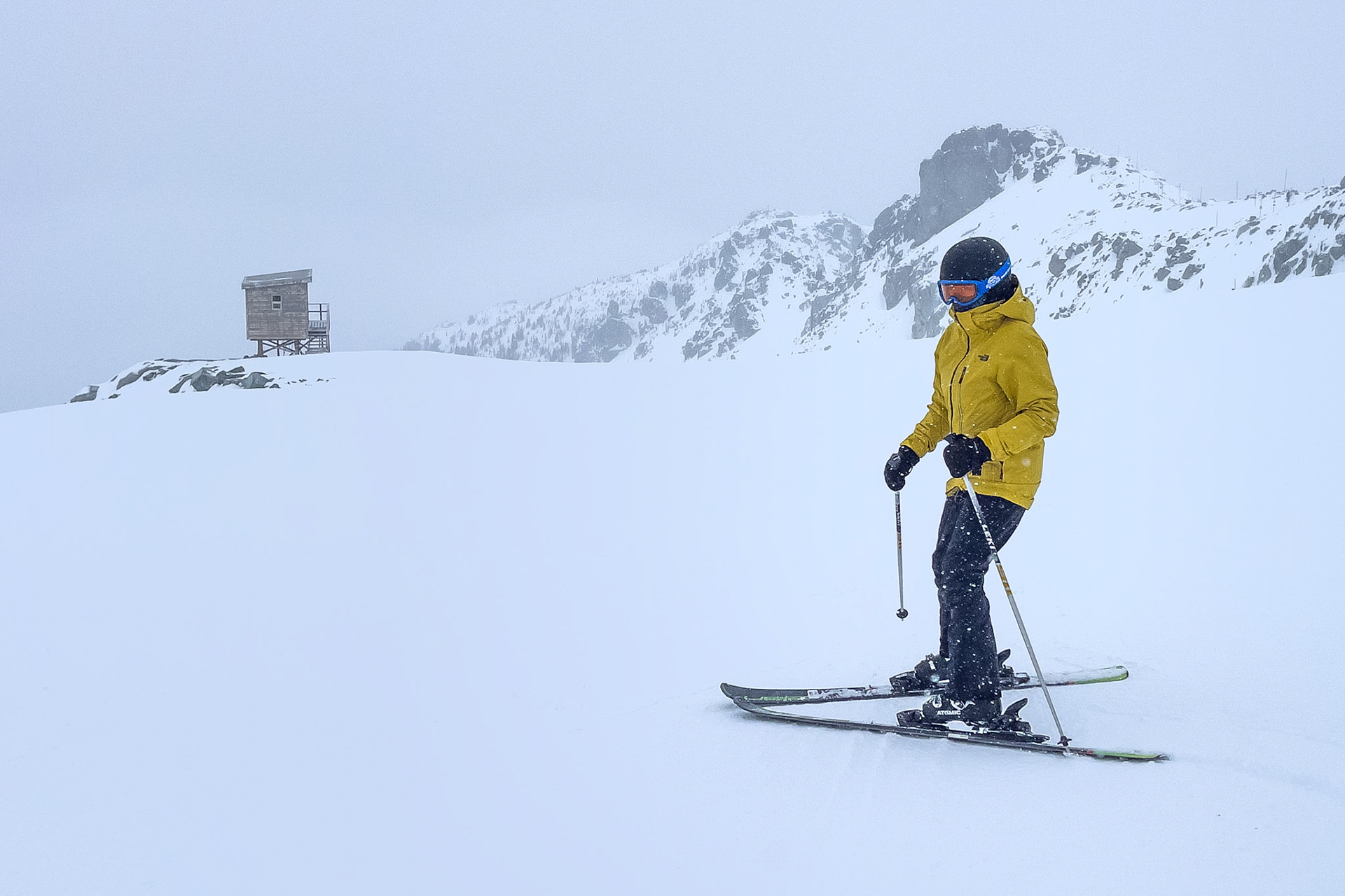 Whistler with the Family