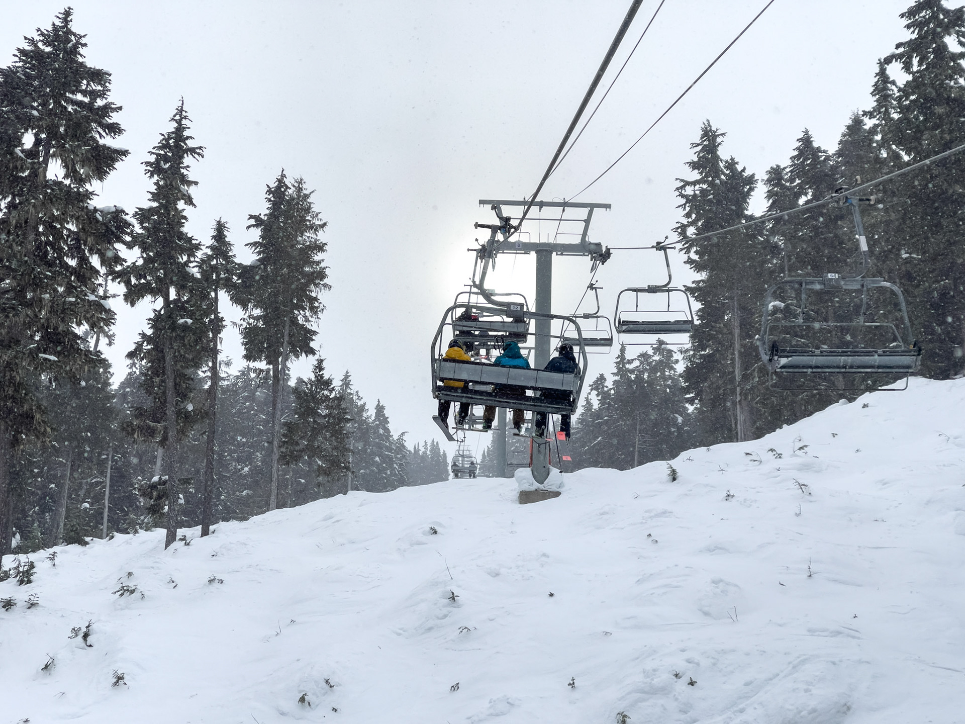 Whistler with the Family