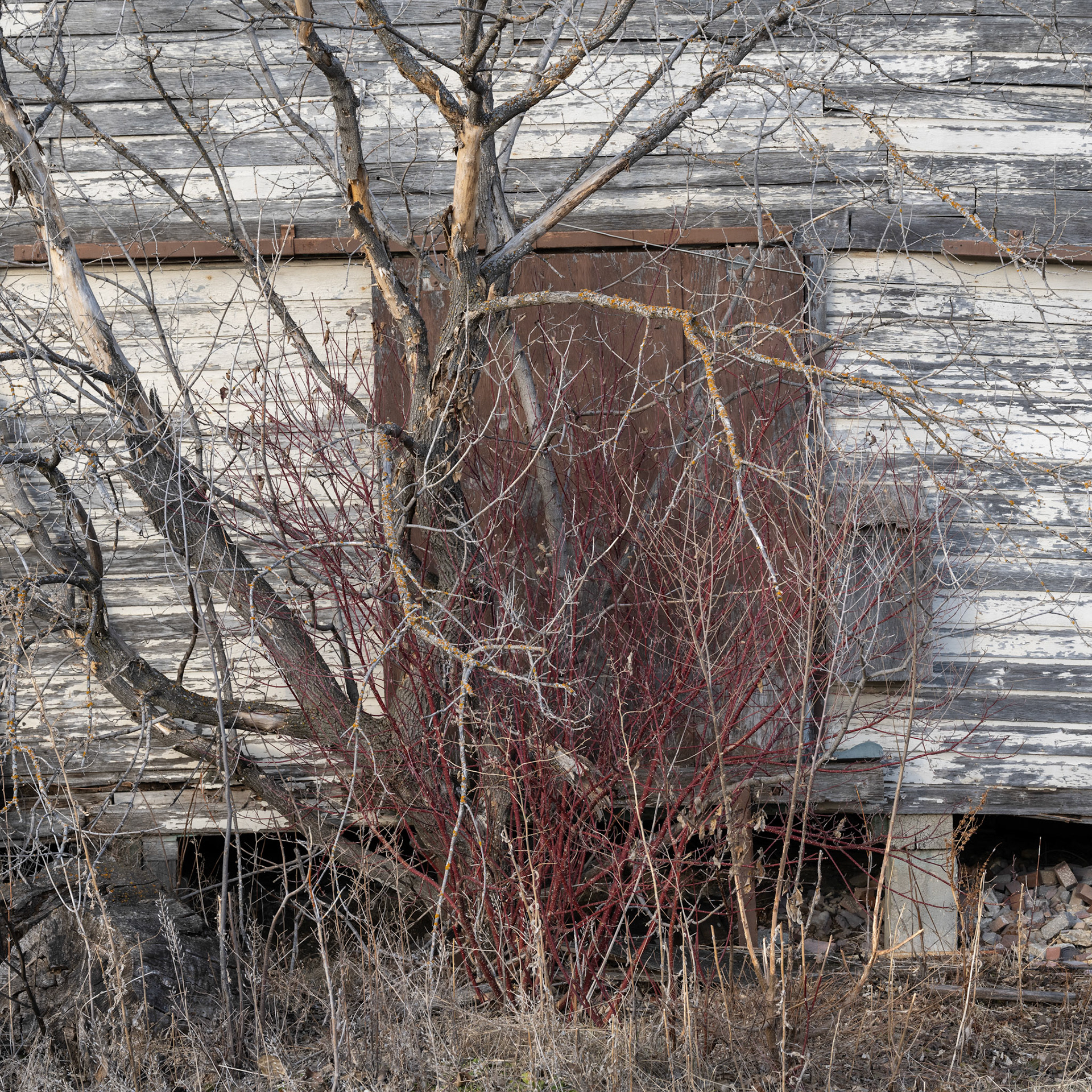 Winnipeg to Lockport - March 2021