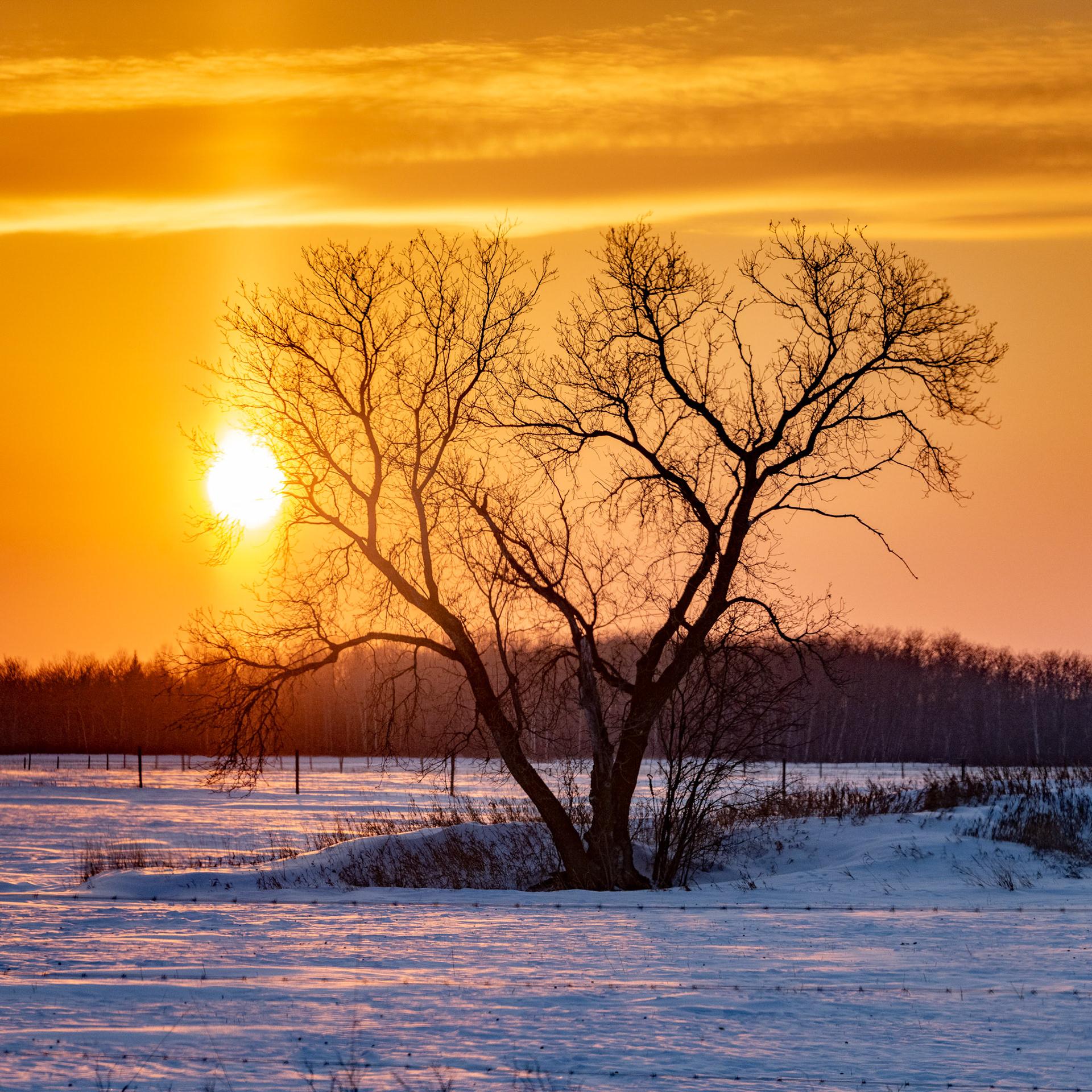 Sunset in the Interlake