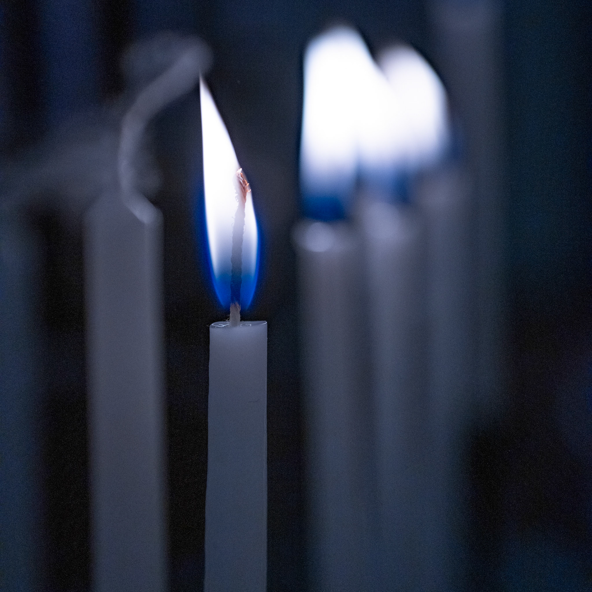 Chanukah - Day 5