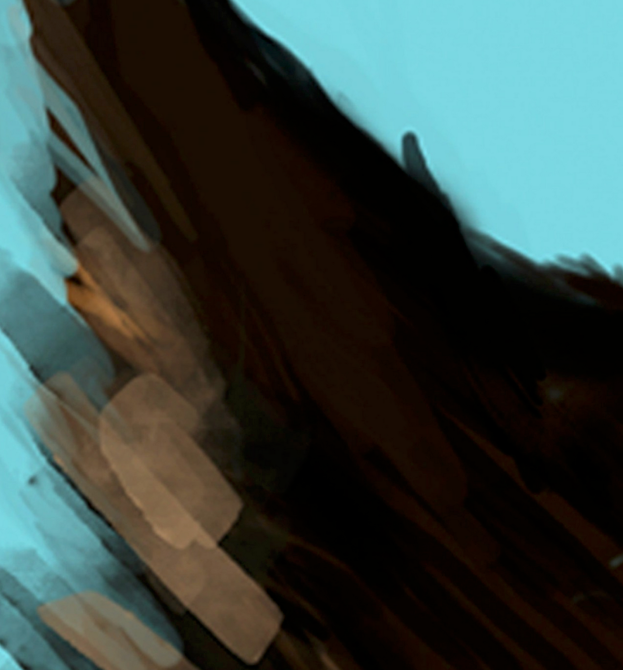 Close Up Details