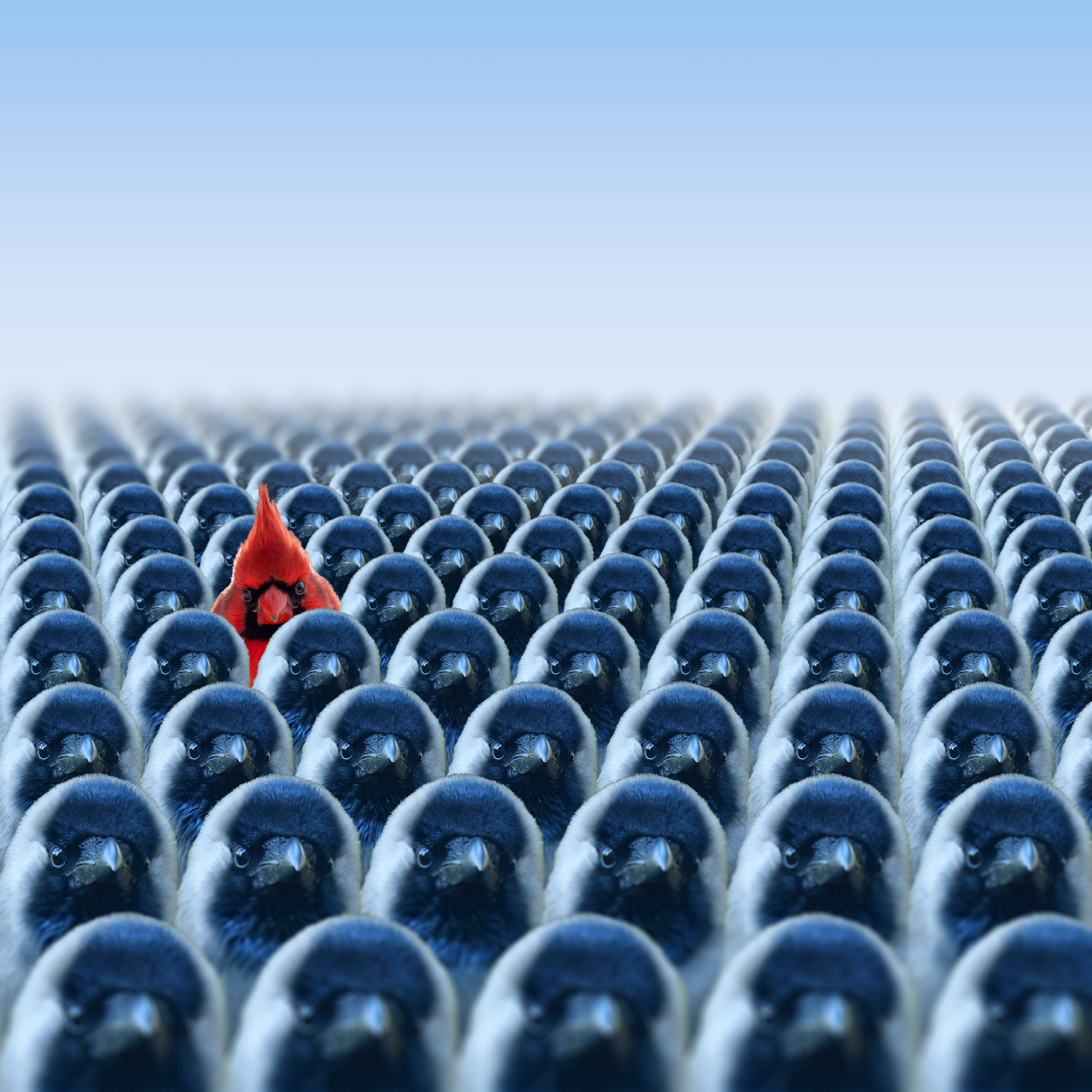 Being Different