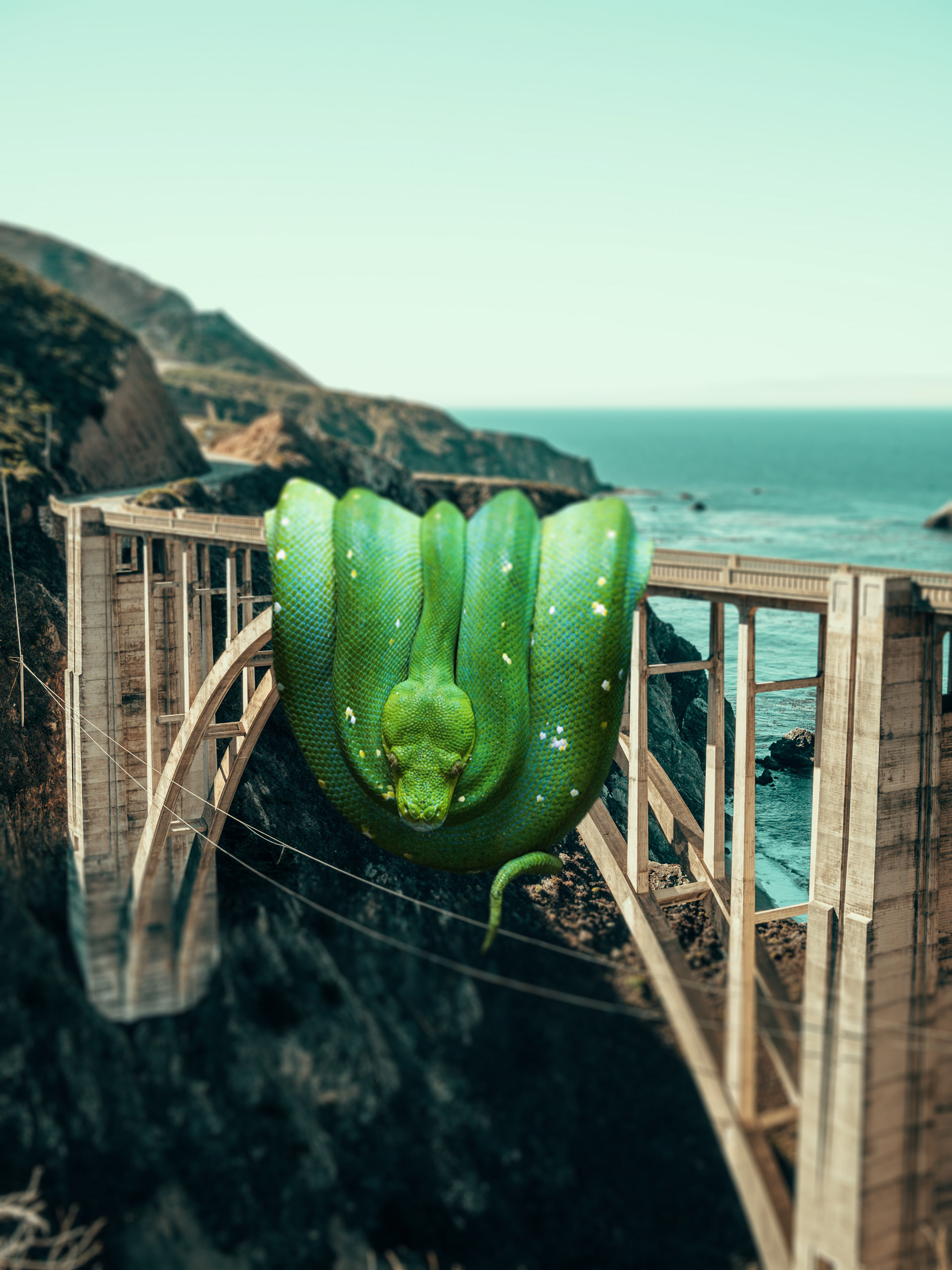 Bridge Snake