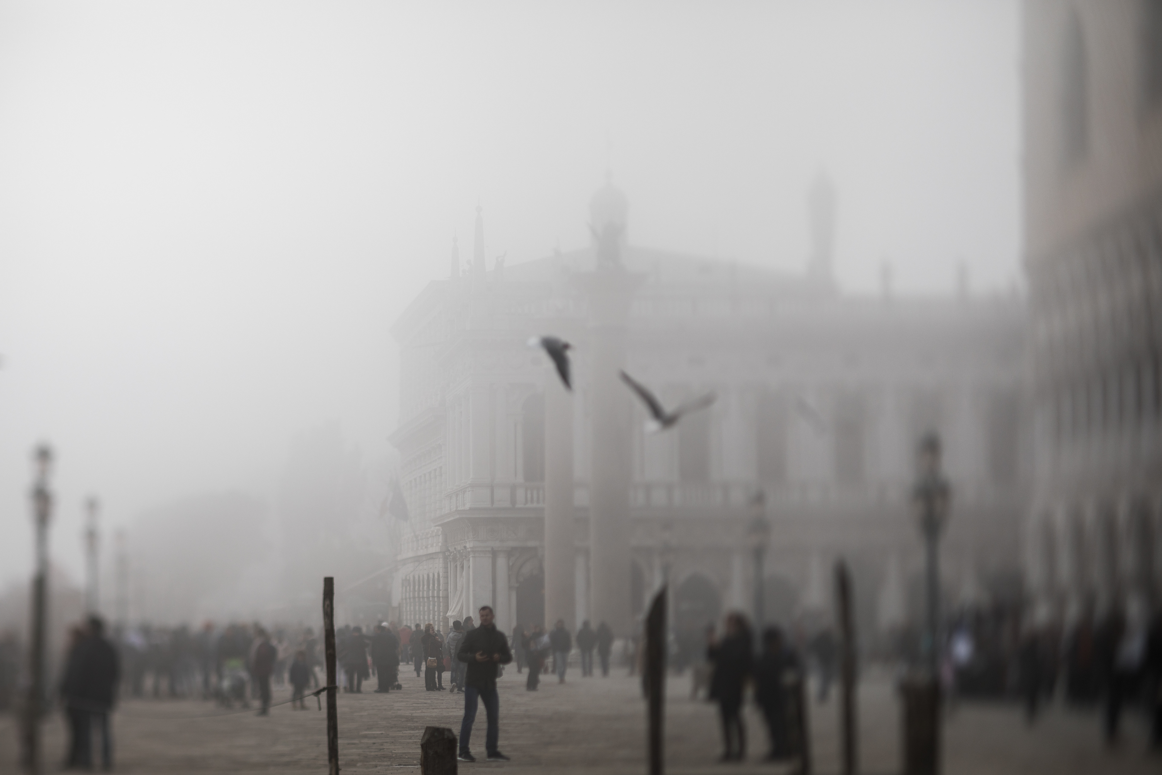 OUBLIER VENISE