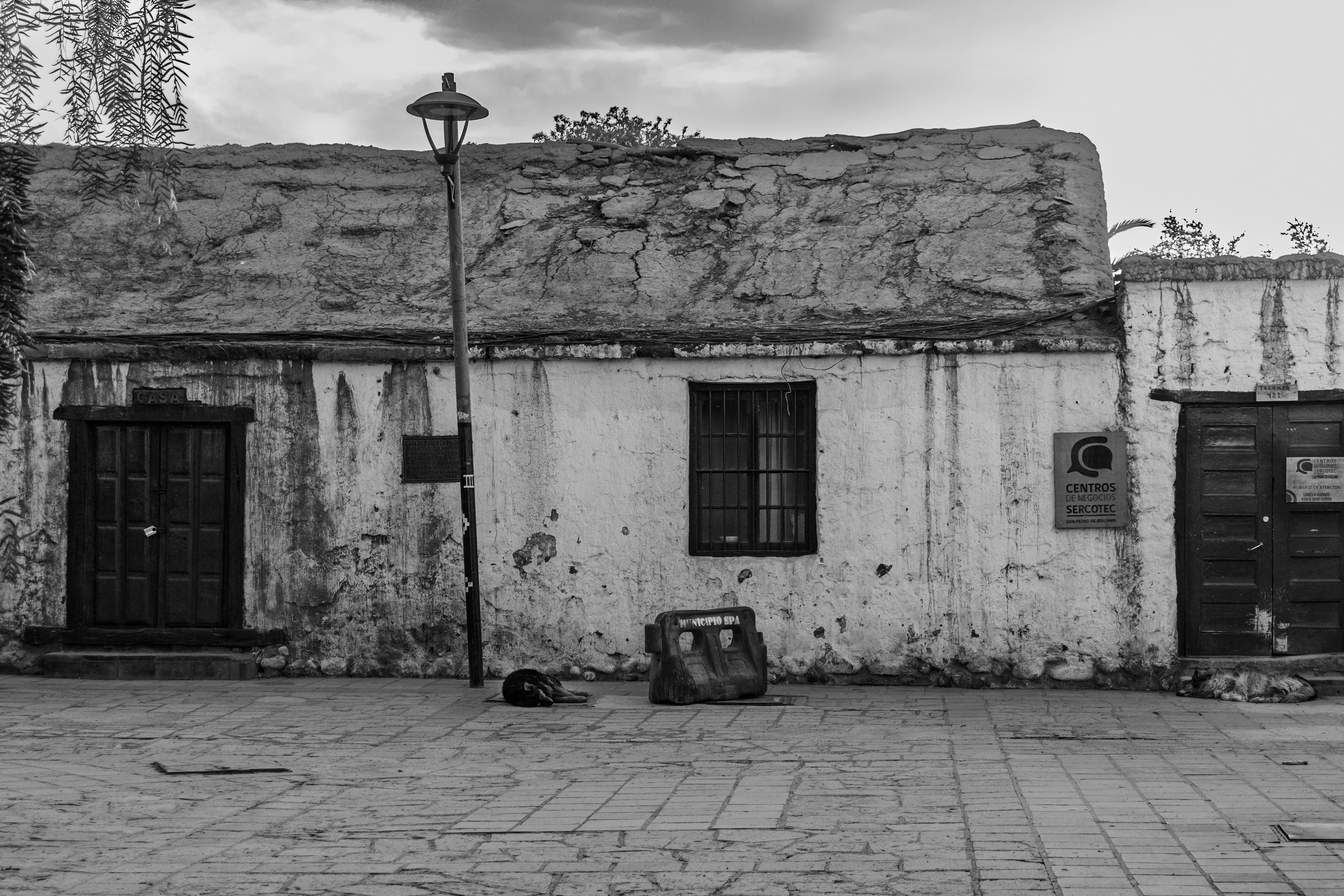 Fotografia ©Thiago Altran