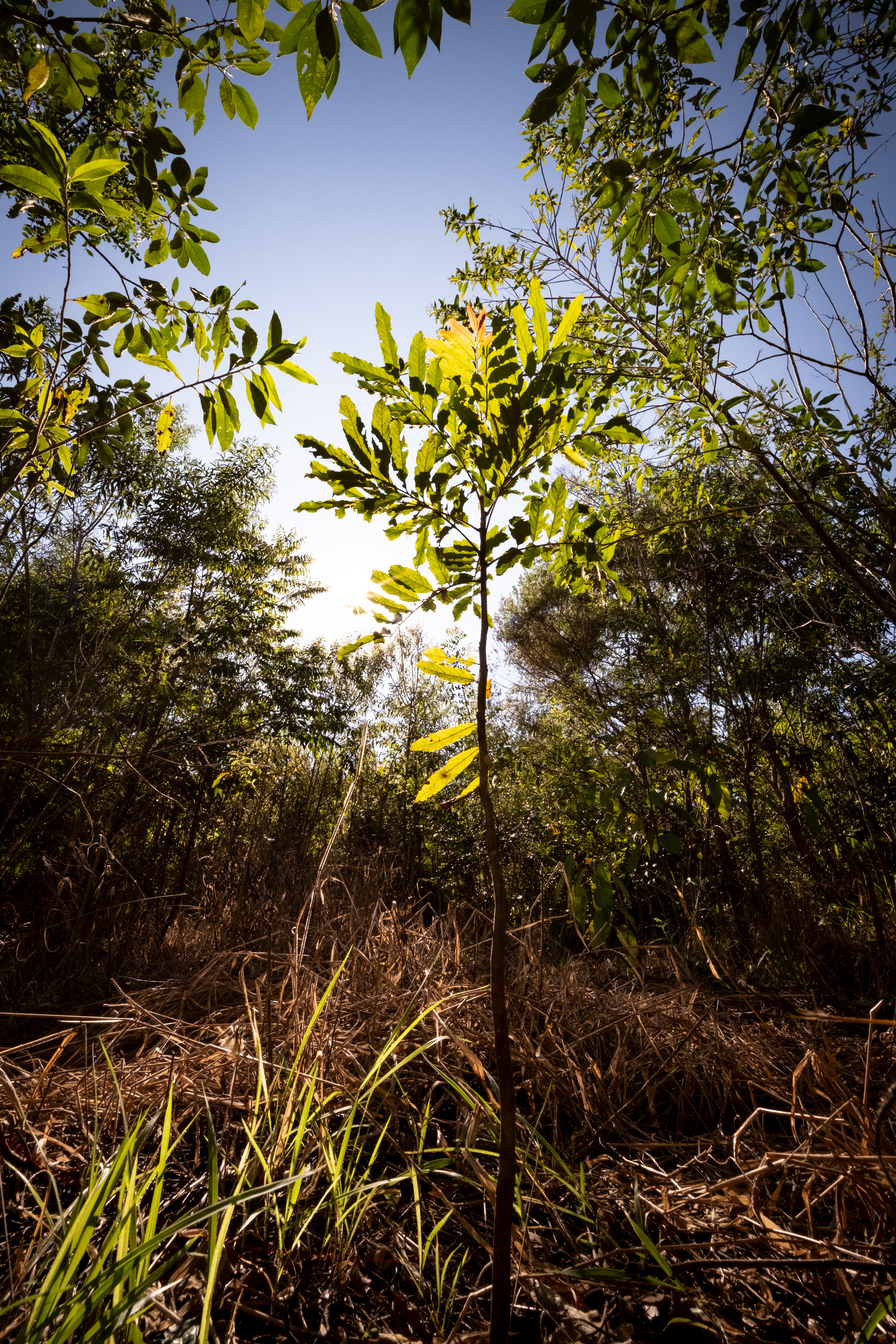 Fotografia ©Thiago Altran