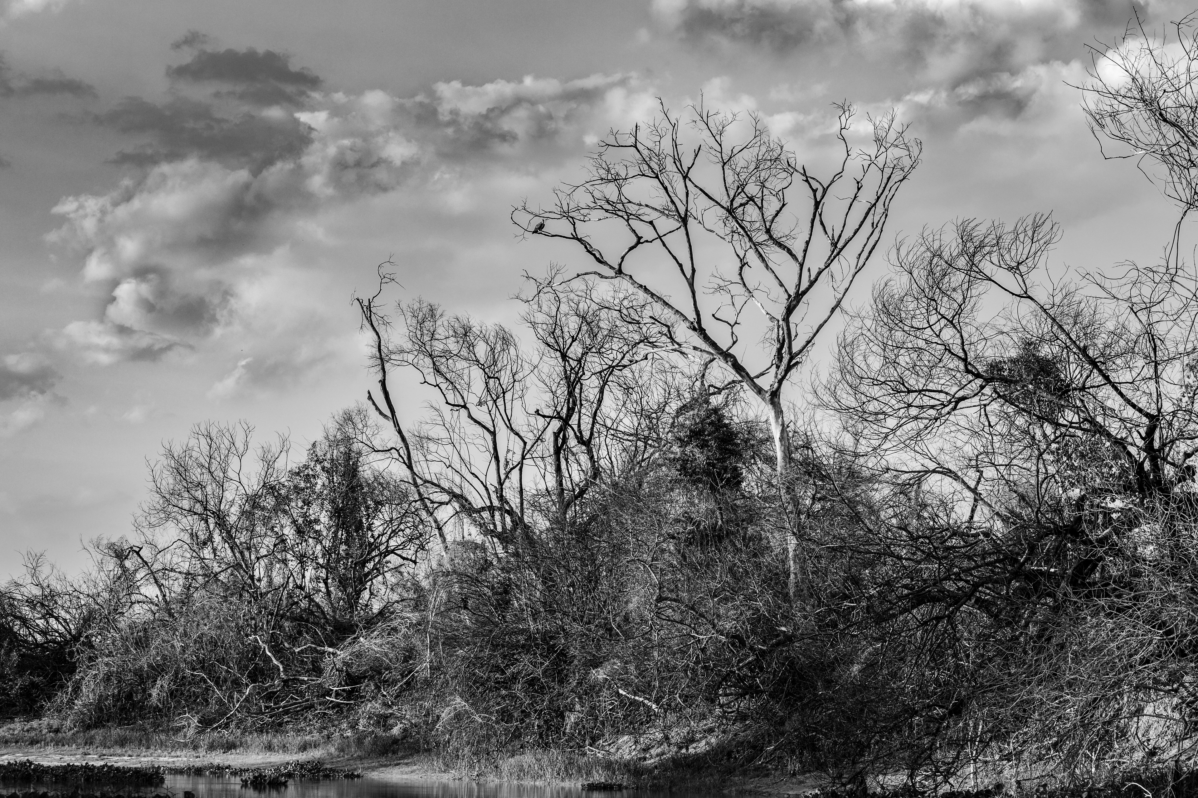 Fotografia ©Thiago Altran