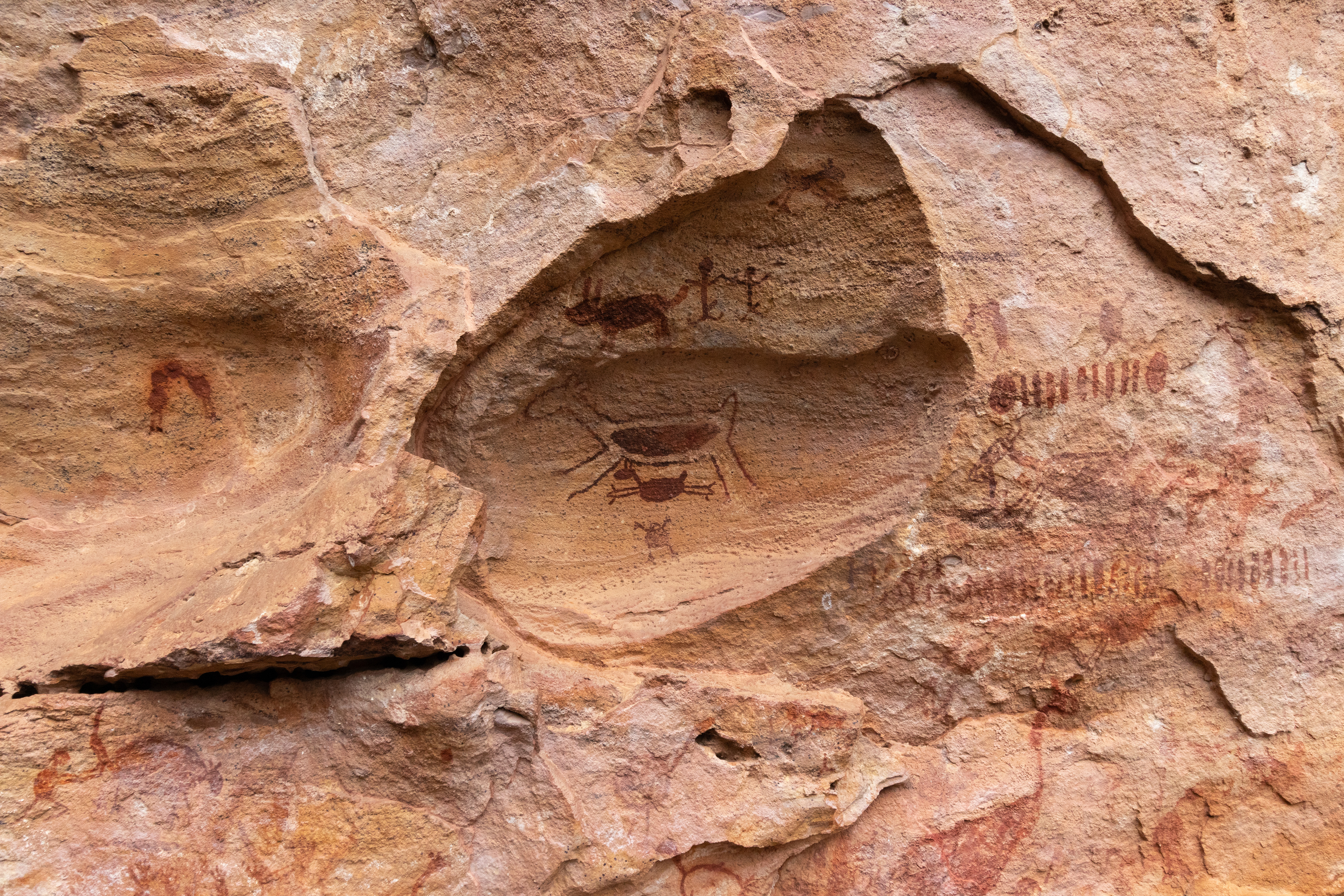 Fotografia ©Thiago Altran