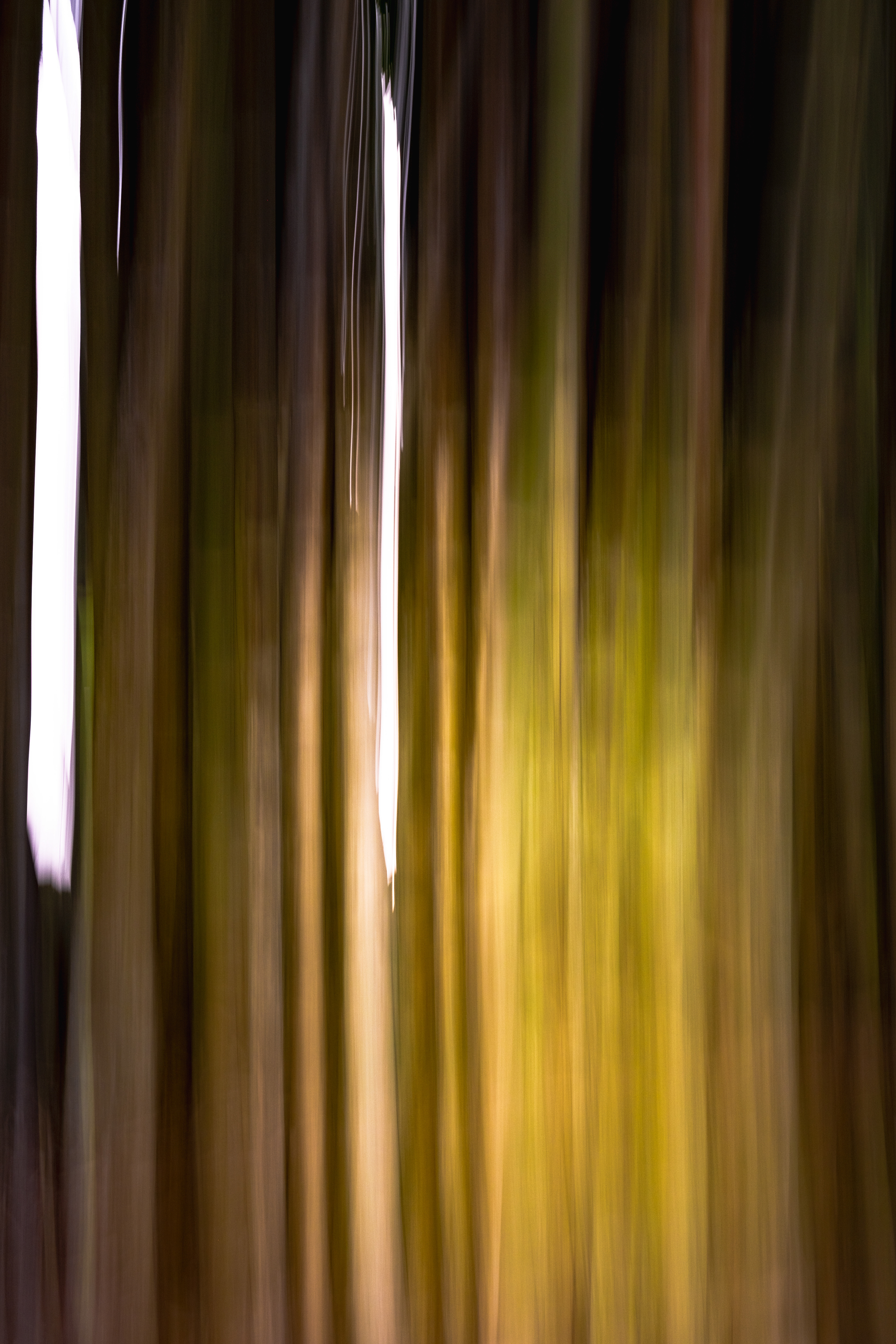 Fotografia ©Thiago Altran