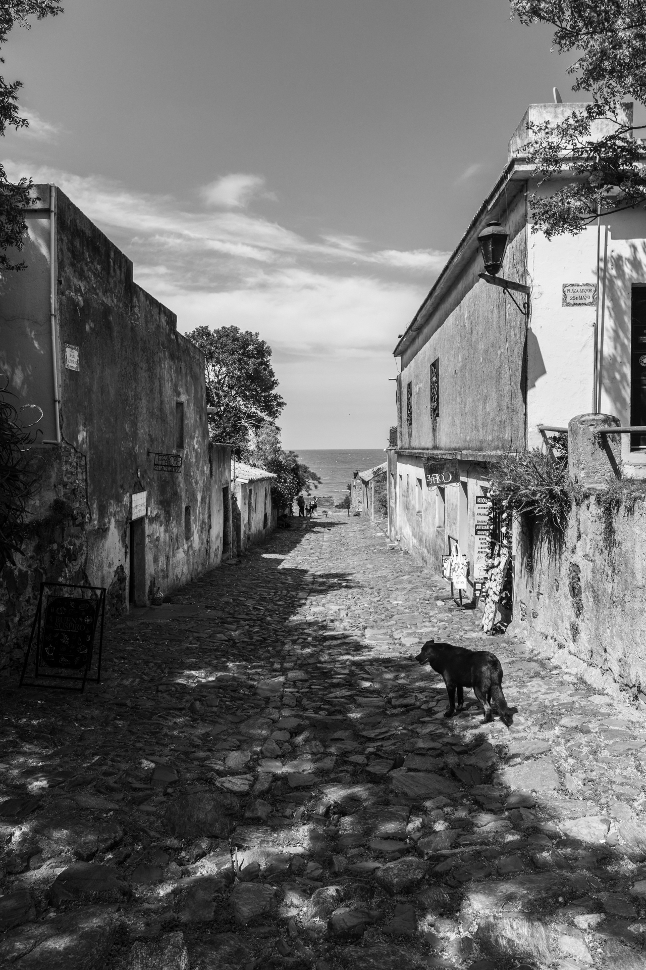 Fotografia ©Thiago Altran