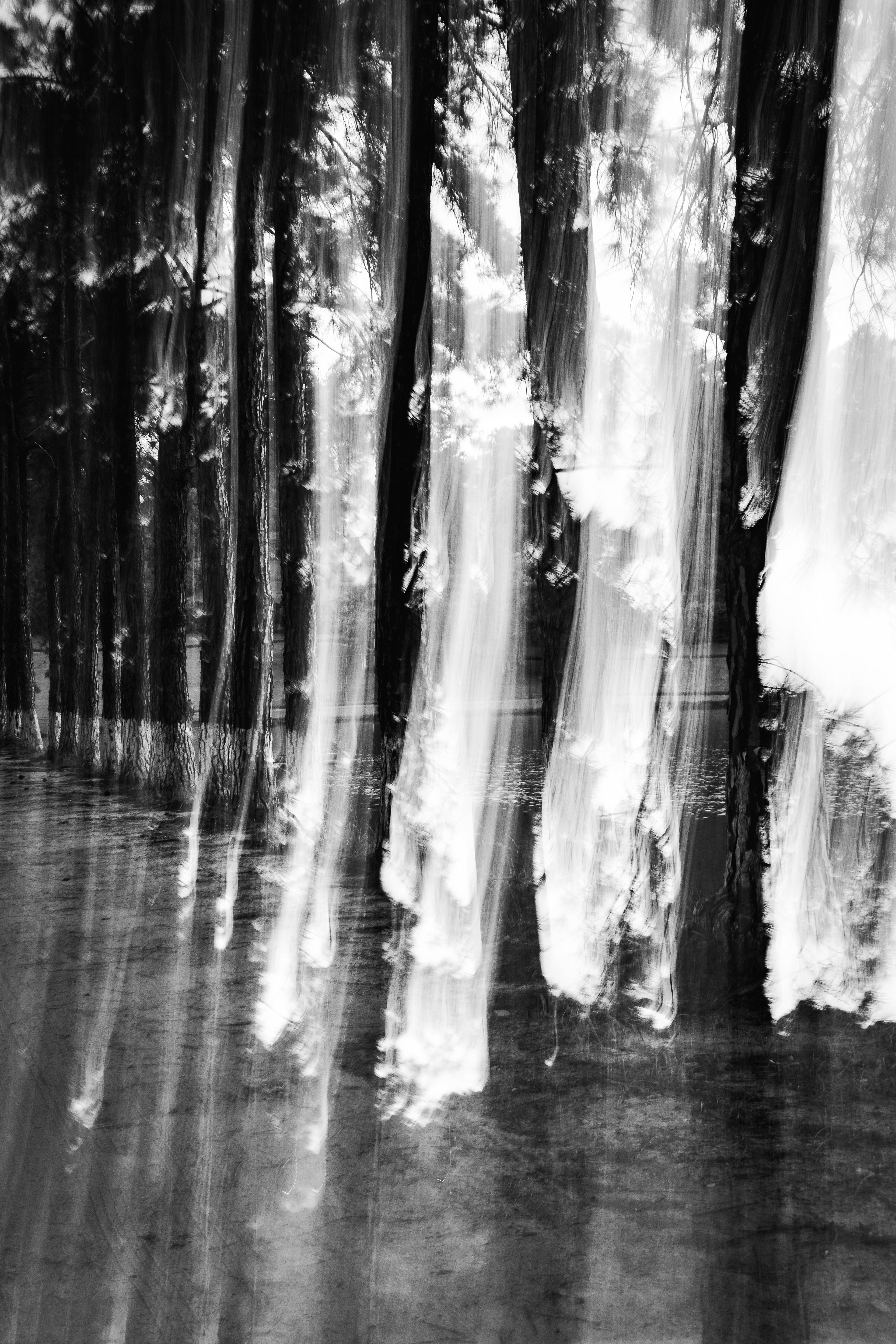 Fotografia ©Thiago Altran