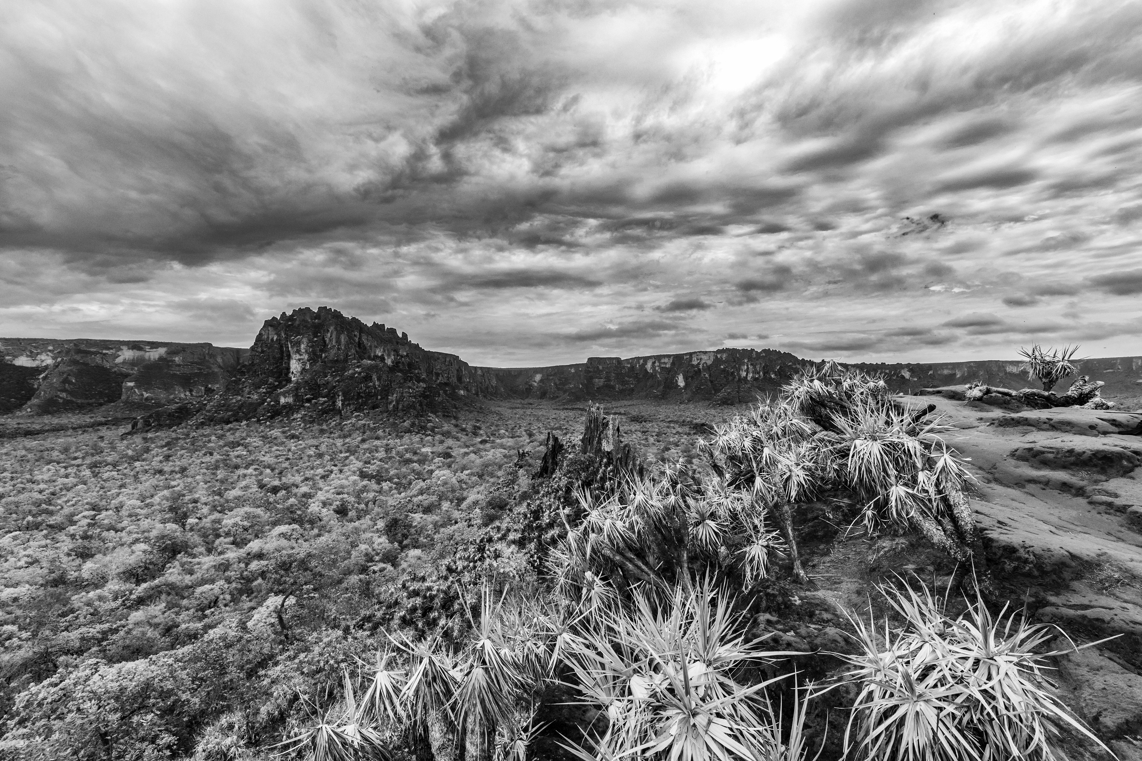 Fotografia ©Thiago Altran