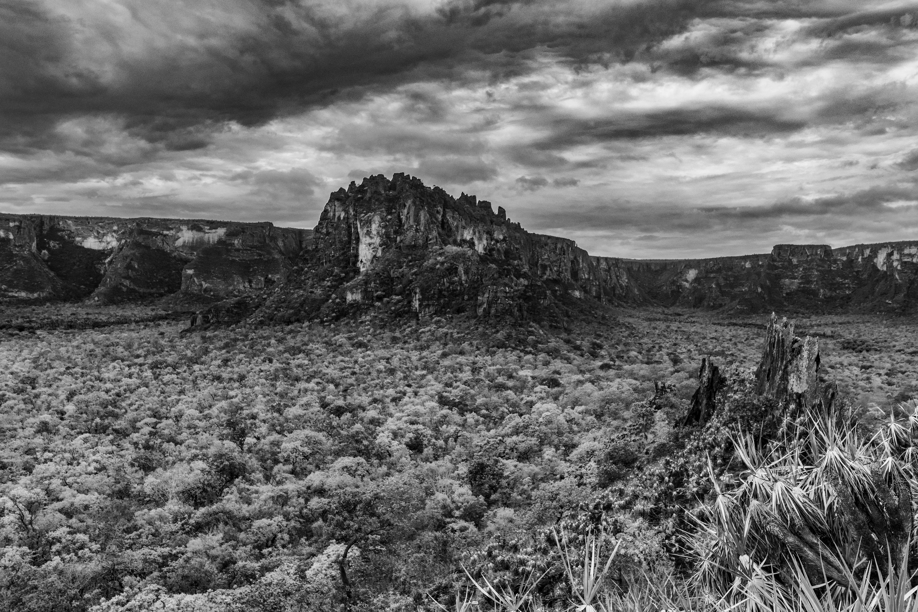 Fotografia ©Thiago Altran