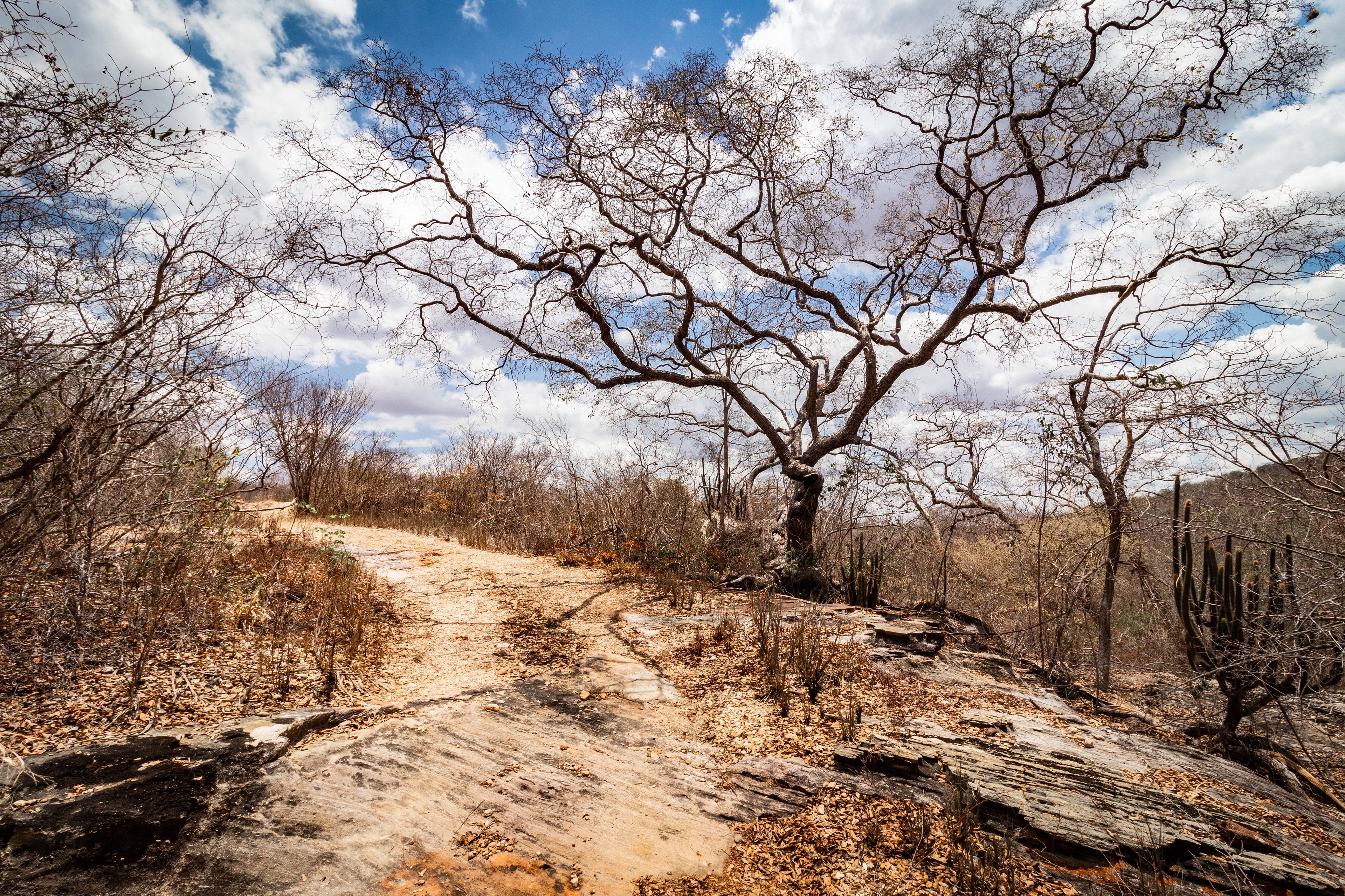 Fotografia ©Thiago Altran