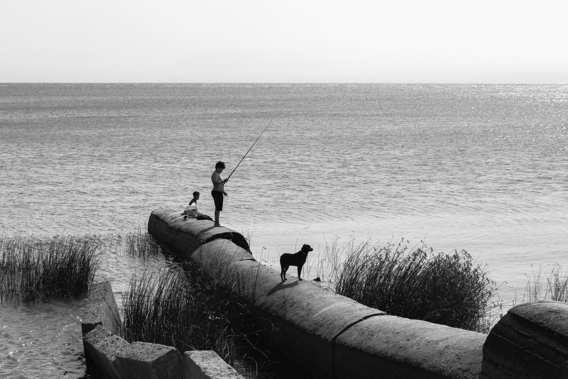 Fotografia ©Thiago Altran