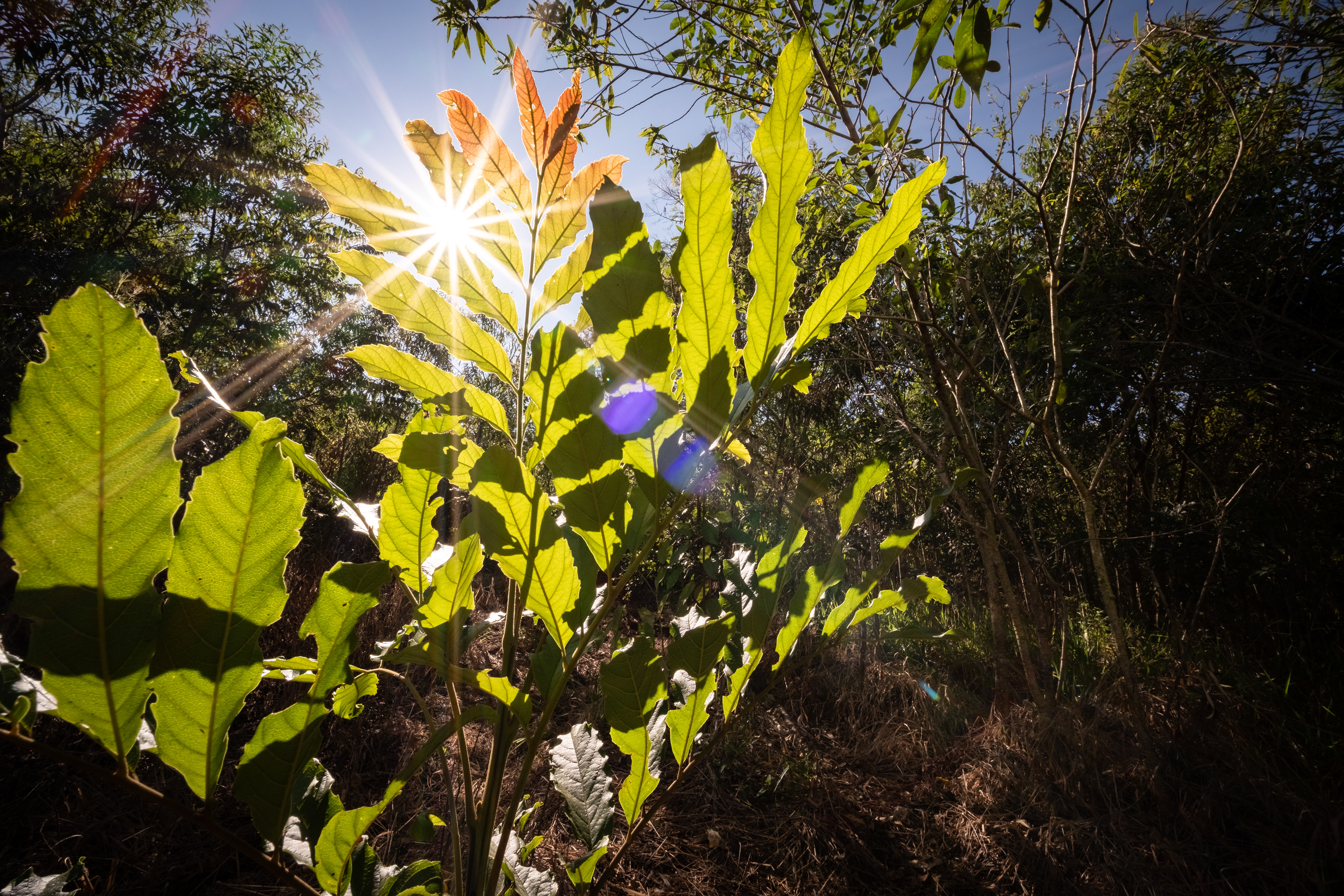 Fotografia ©Thiago Altran