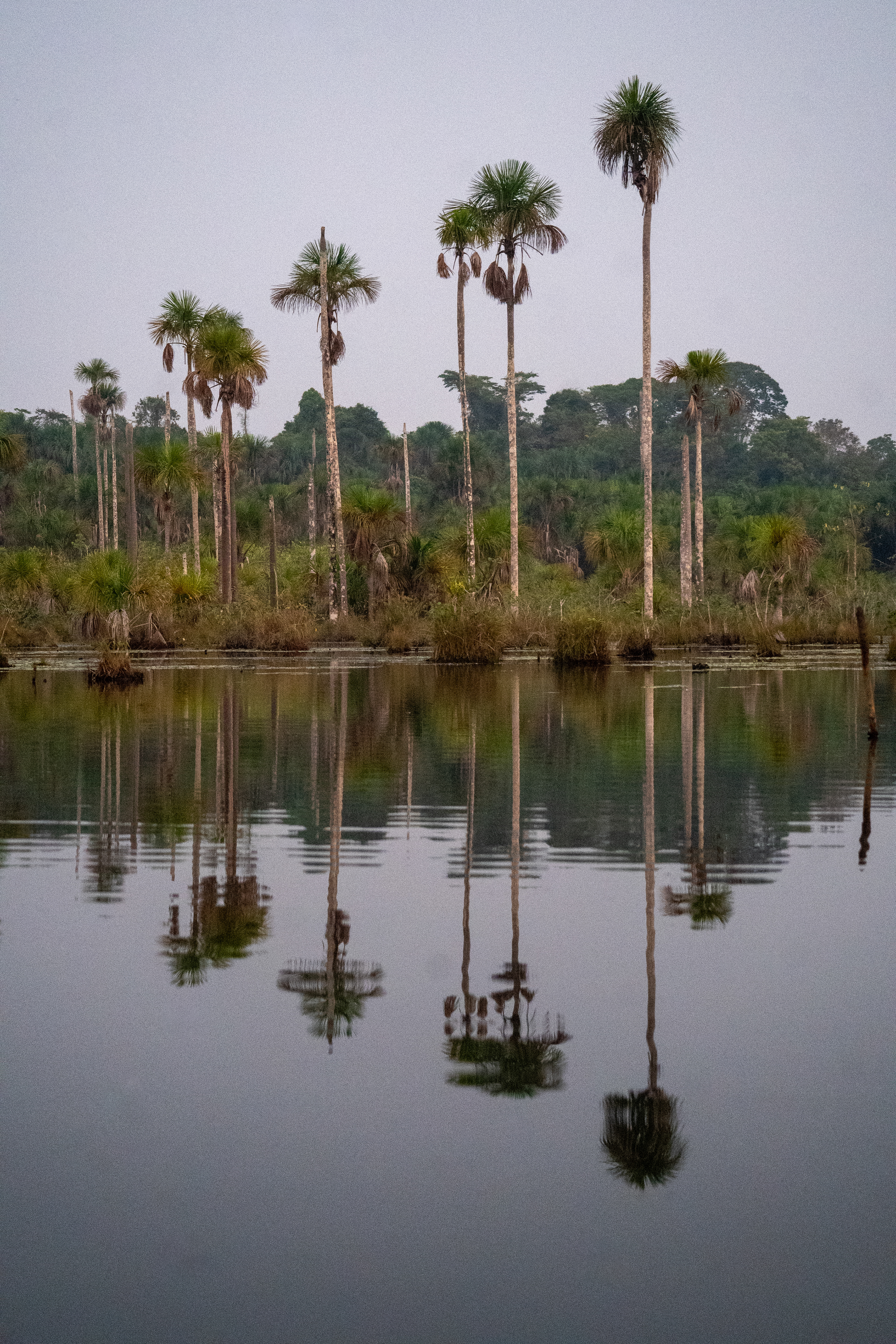 Lake Yacumama