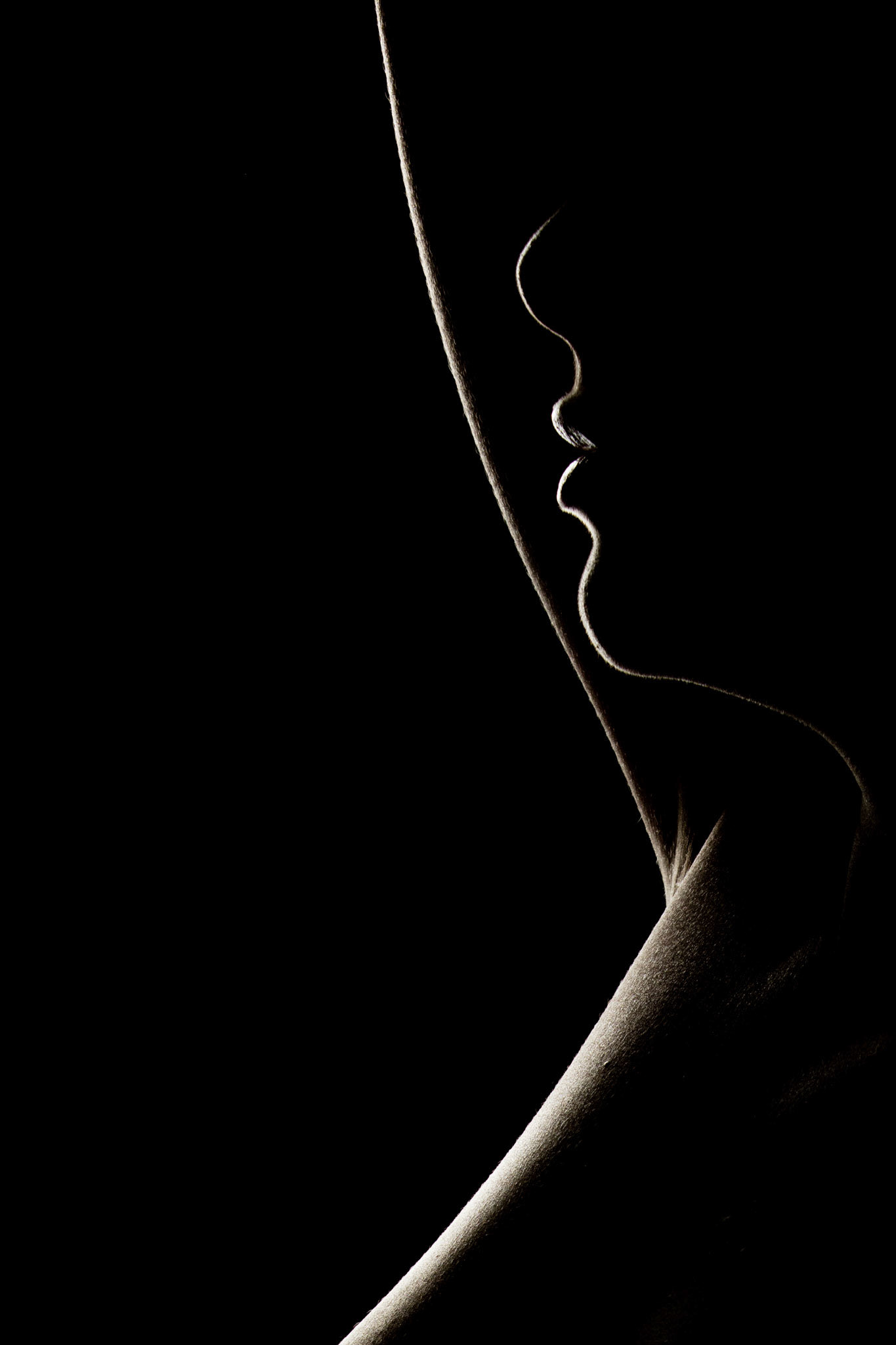 Lines