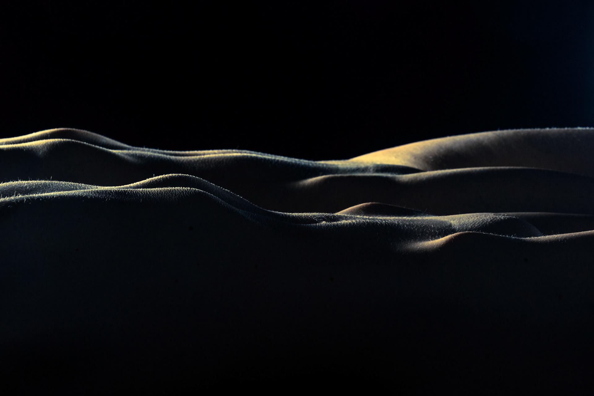 Evening light