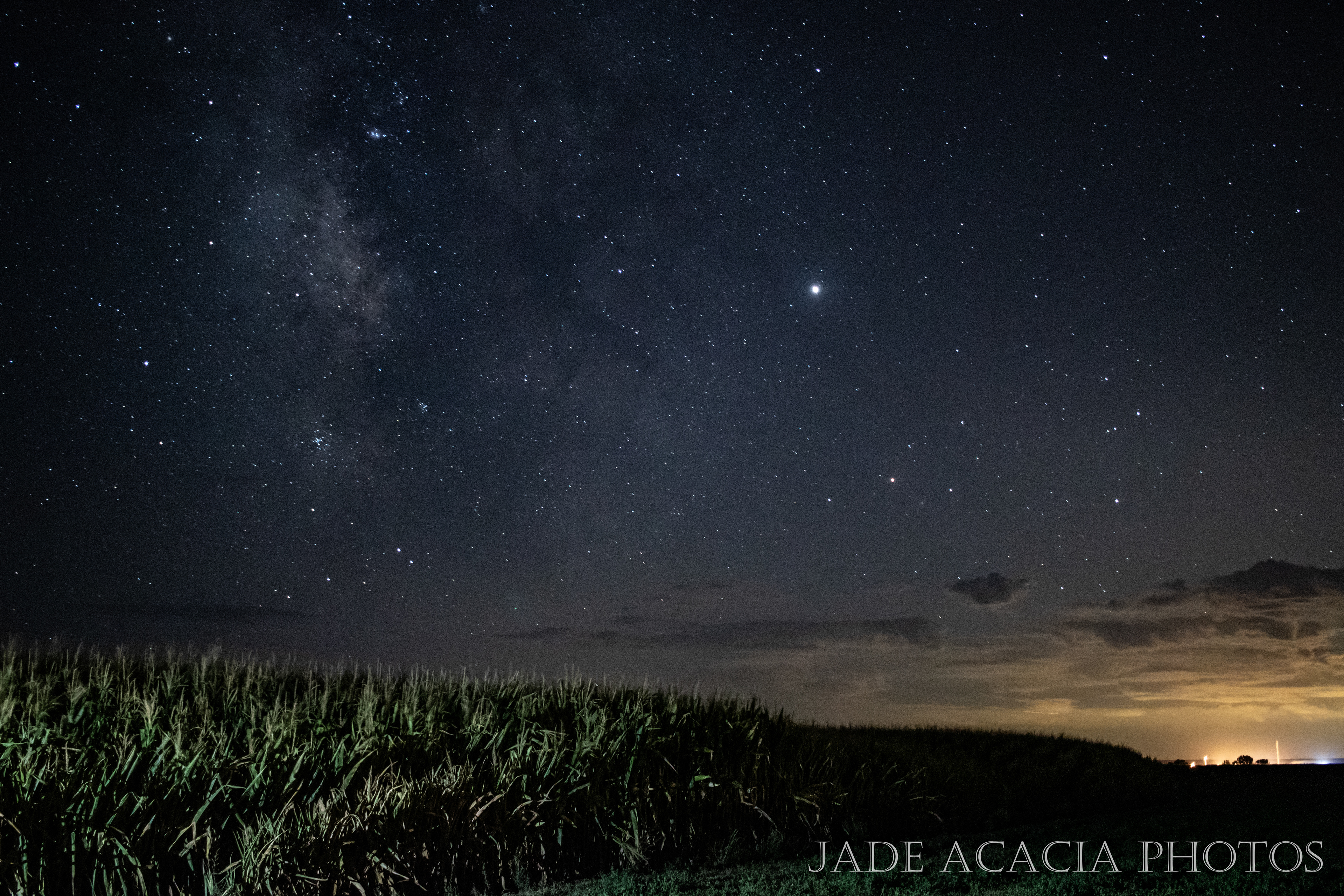 Title: S104 -Vertical Milky Way over a corn field. Bright Jupiter showing