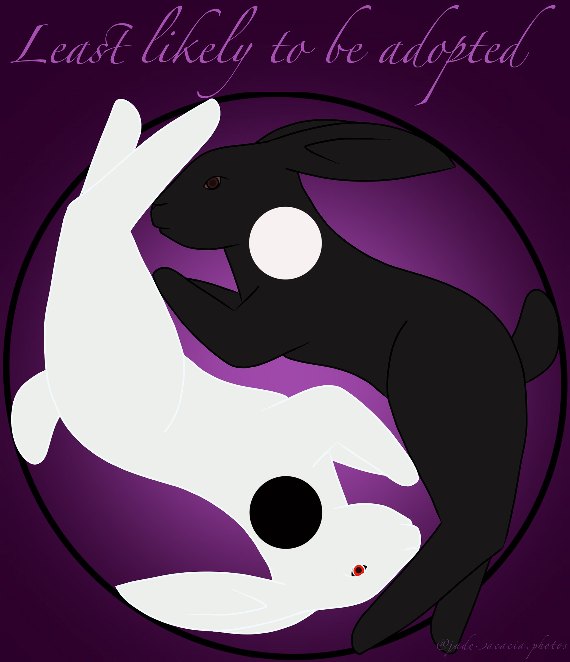 REW rabbit and black rabbit awareness