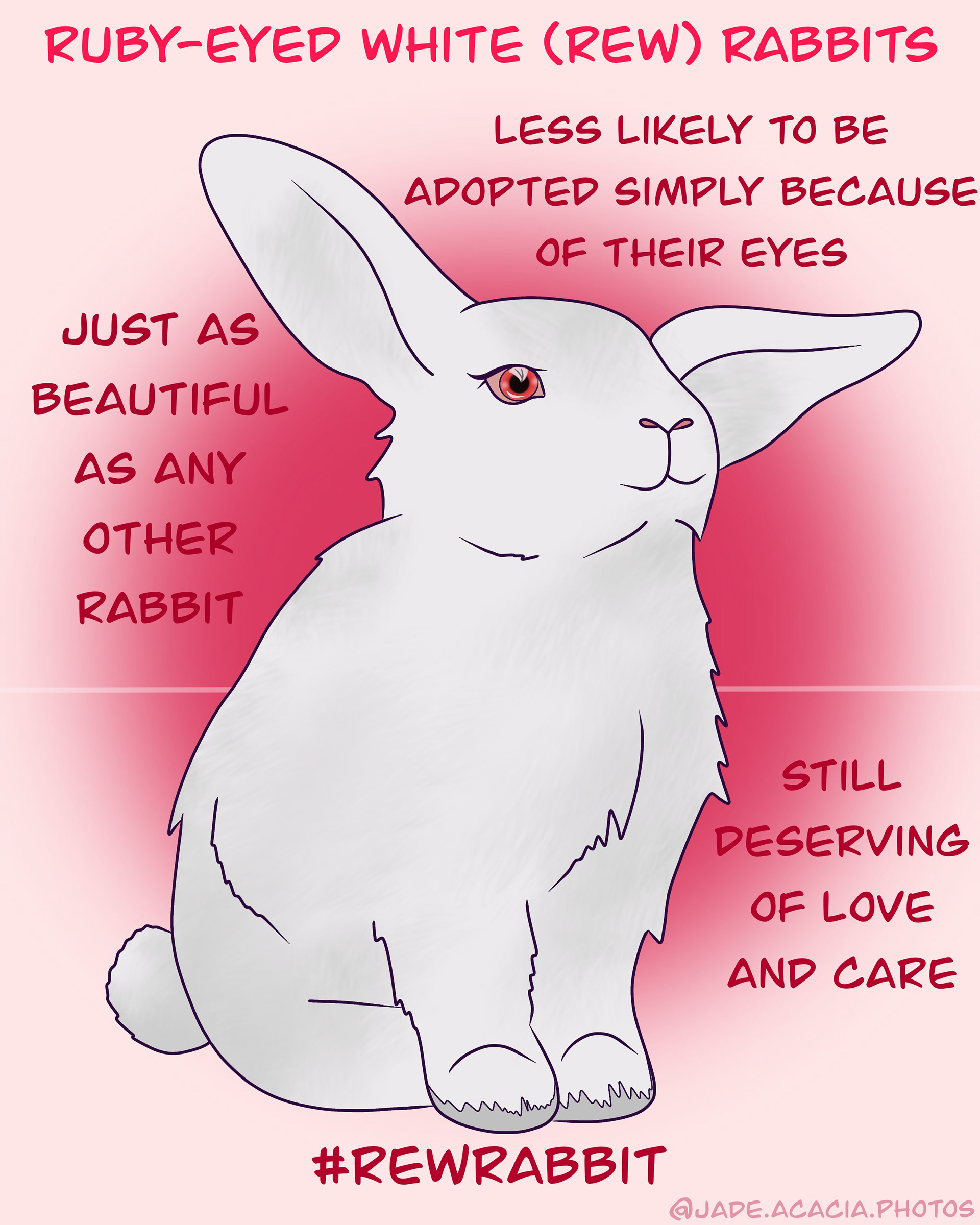 REW Rabbit awareness