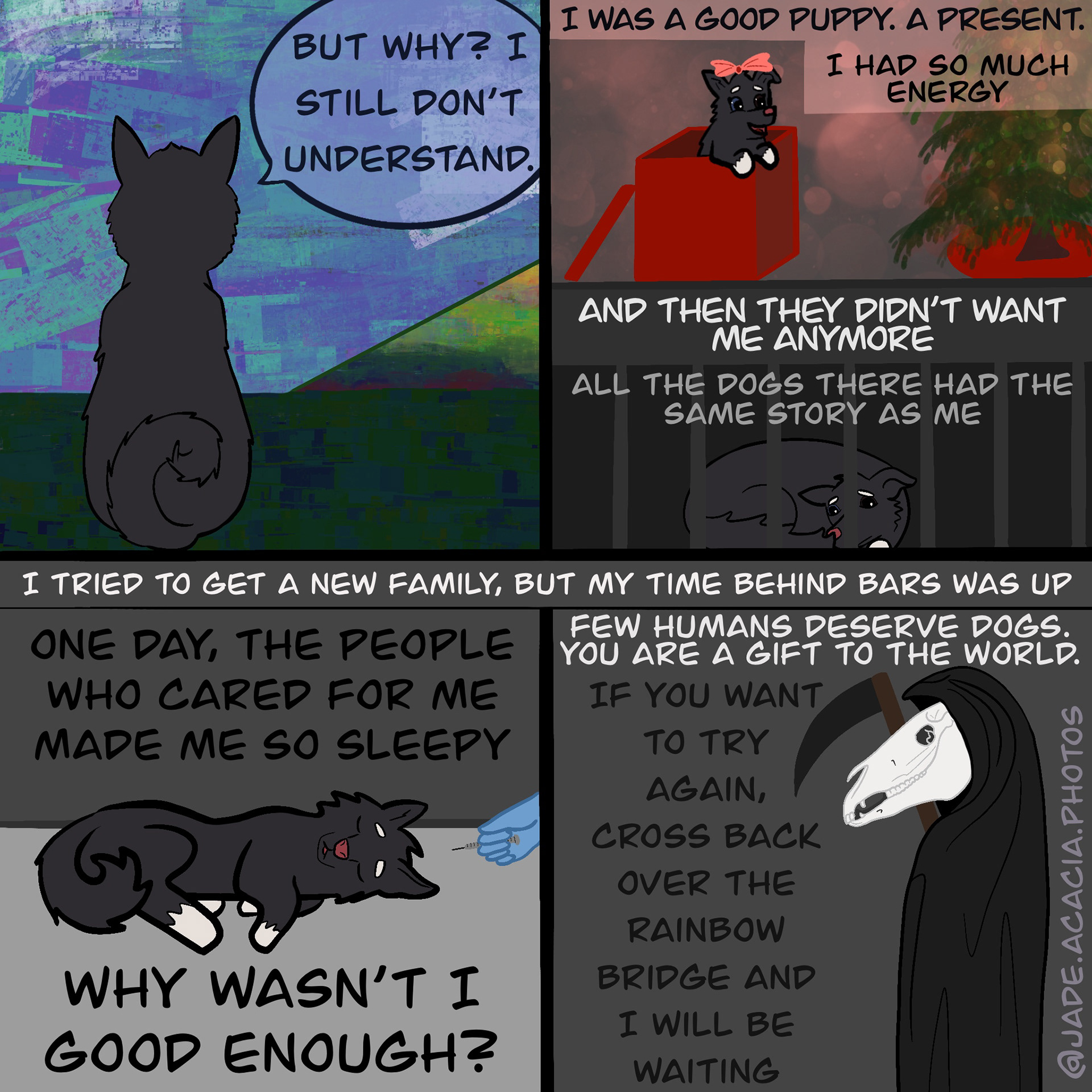 Please don't adopt spontaneously. Pets are family.