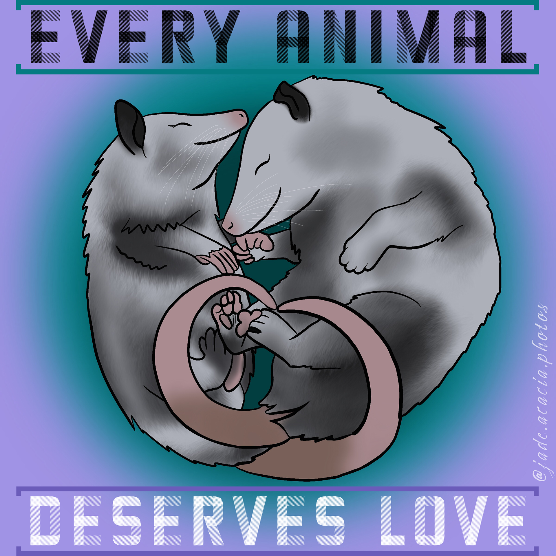 Possums deserve love, too. As North America's only marsupial, they are nearly immune to rabies and control tick population.