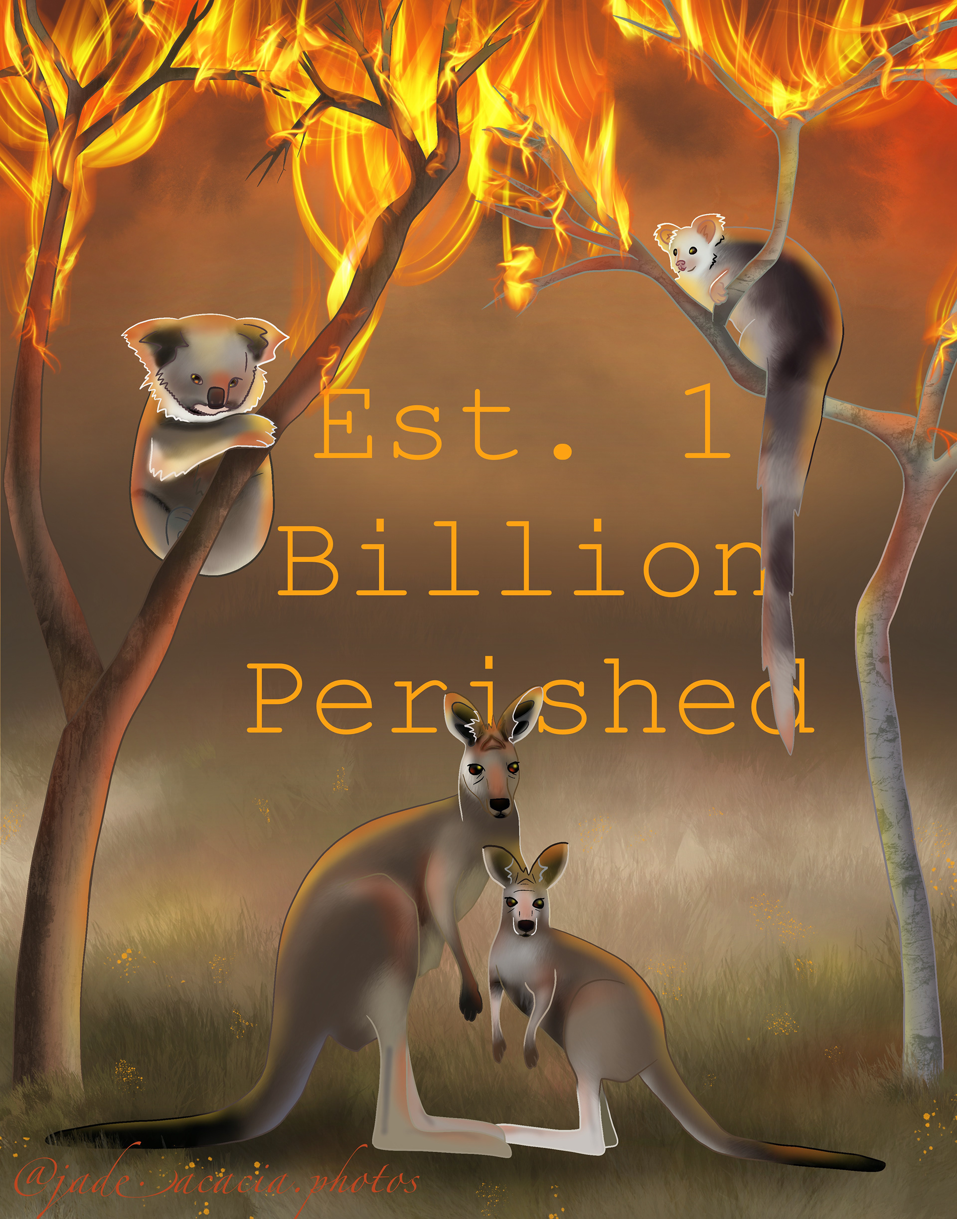 Australian Bush Fire artwork