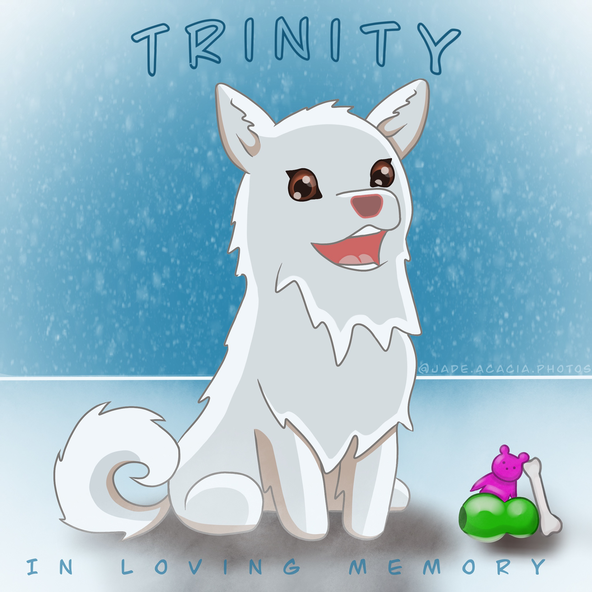 In memory of my American Eskimo, Trinity