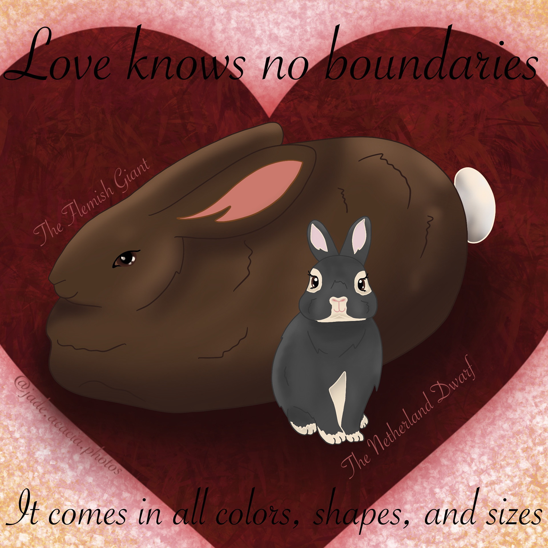 Love comes in all shapes and bun sizes