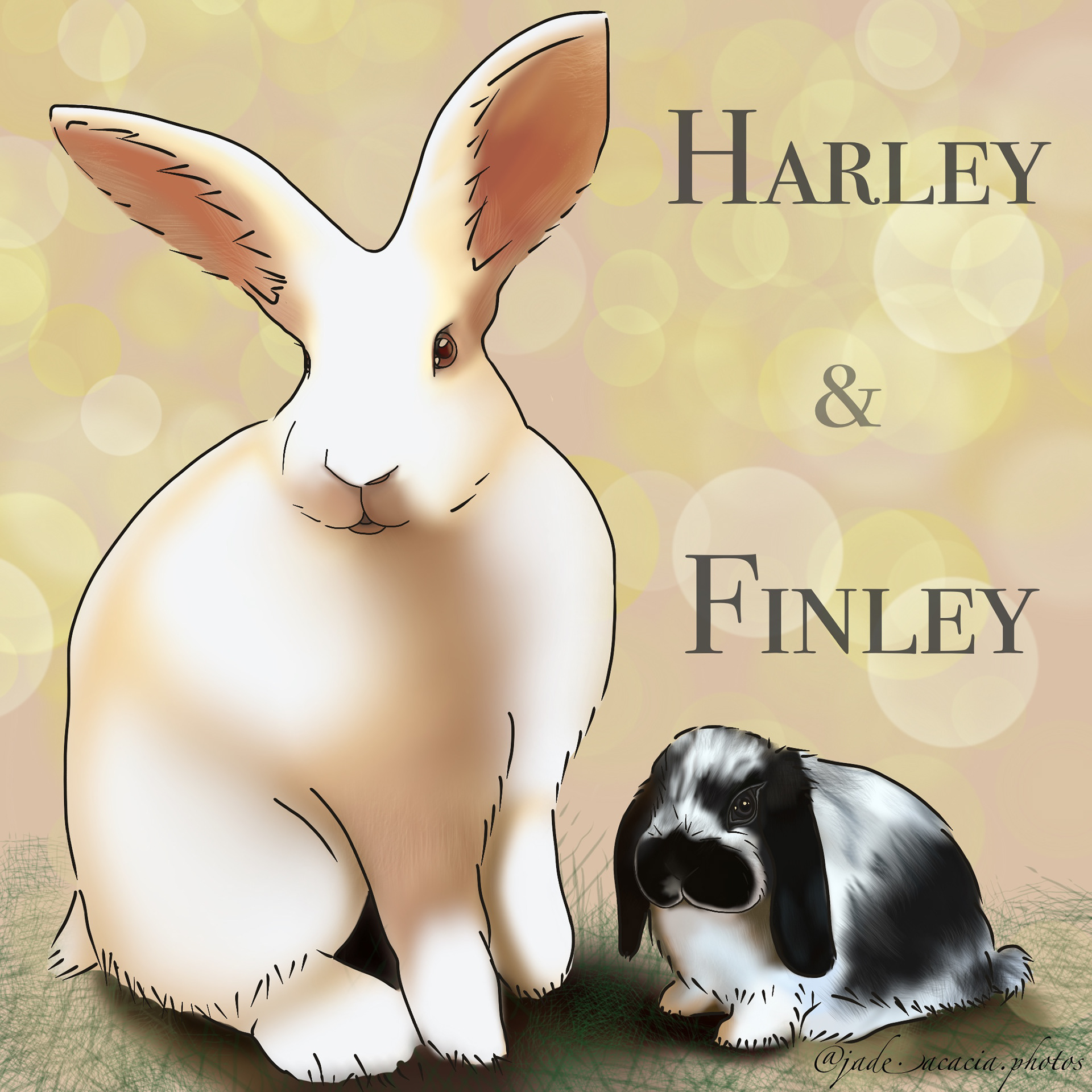 Fan art for a bunny Facebook page @OliveandDinah