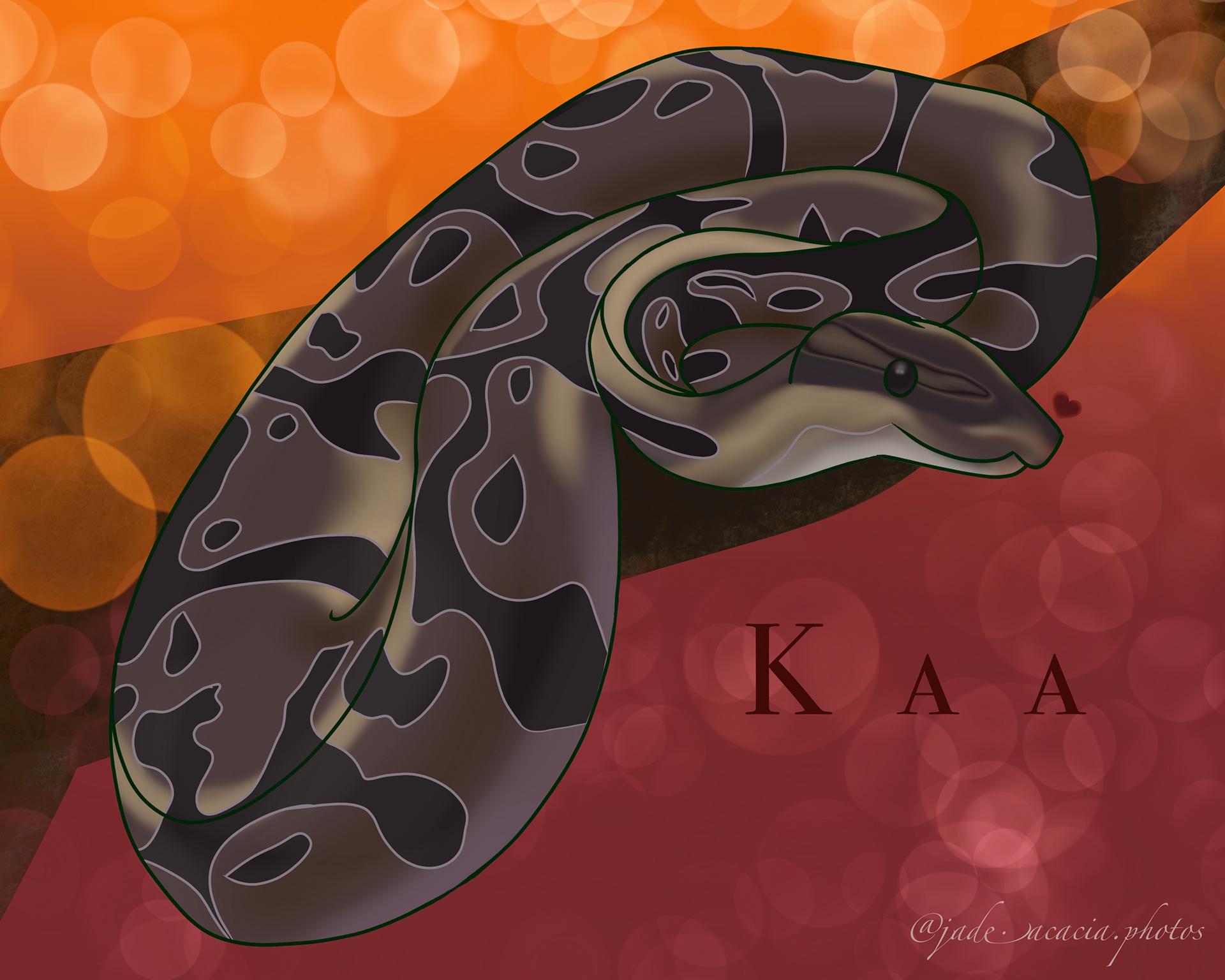 Kaa, the Ball Python pet