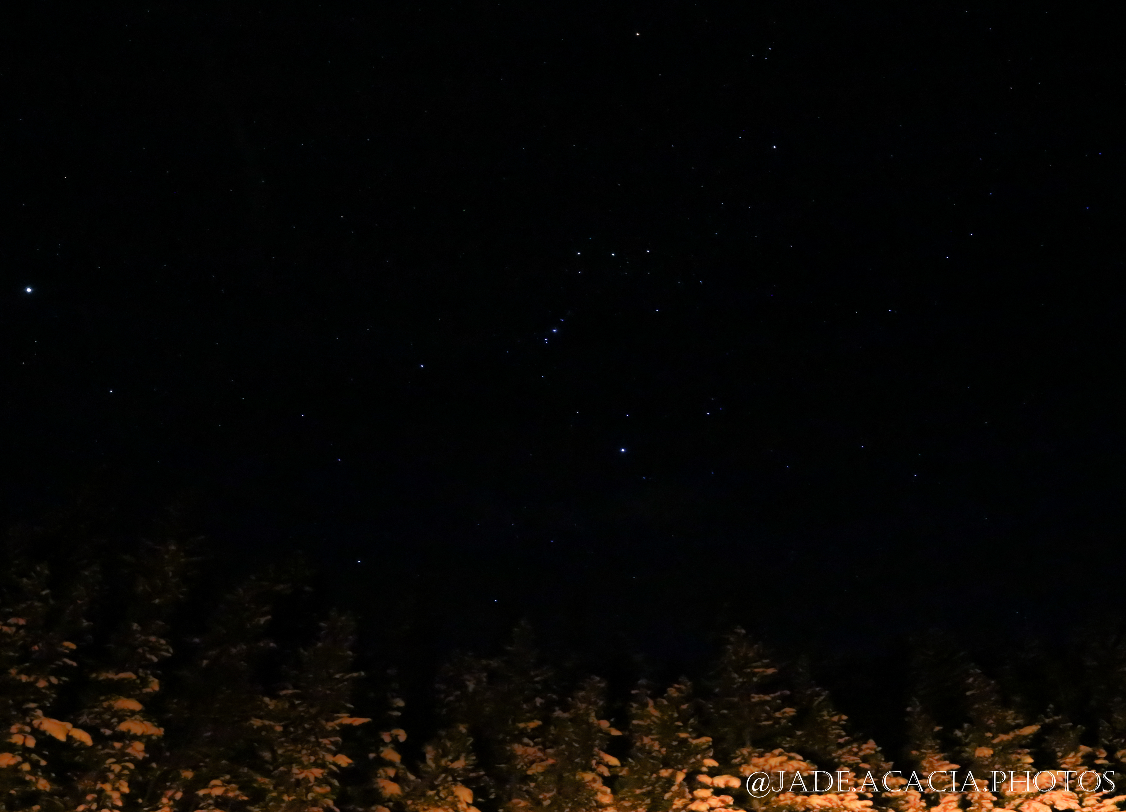 Title: S113 - Orion Constellation (upside down) in Evergreen, CO