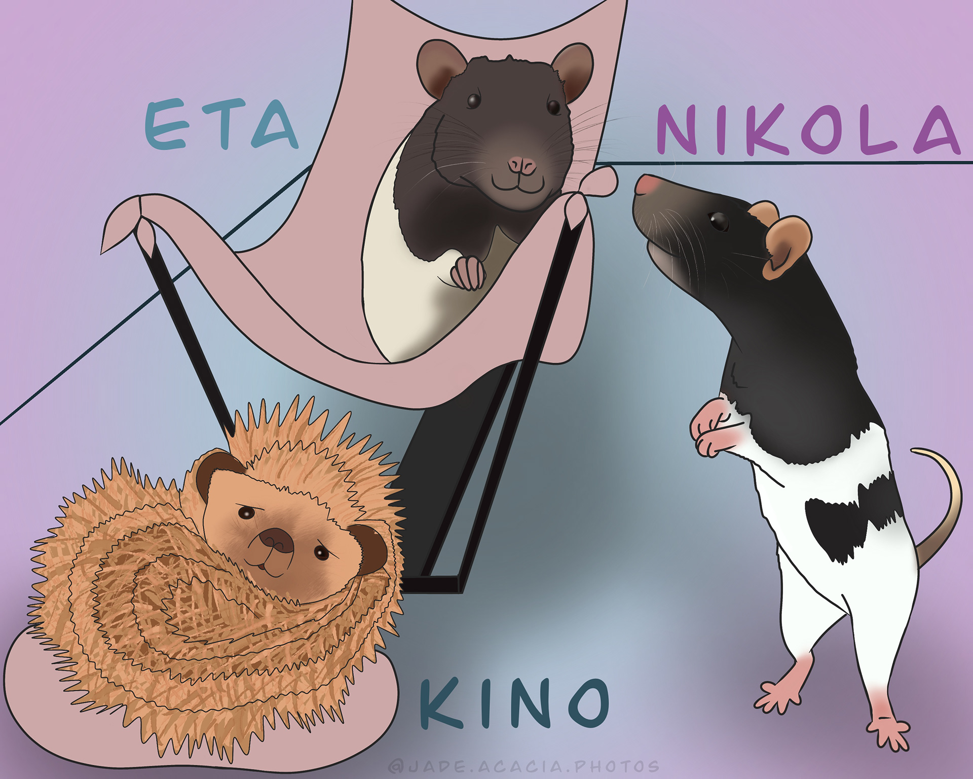 Two Rats and a Hedgehog: the title of a new sitcom